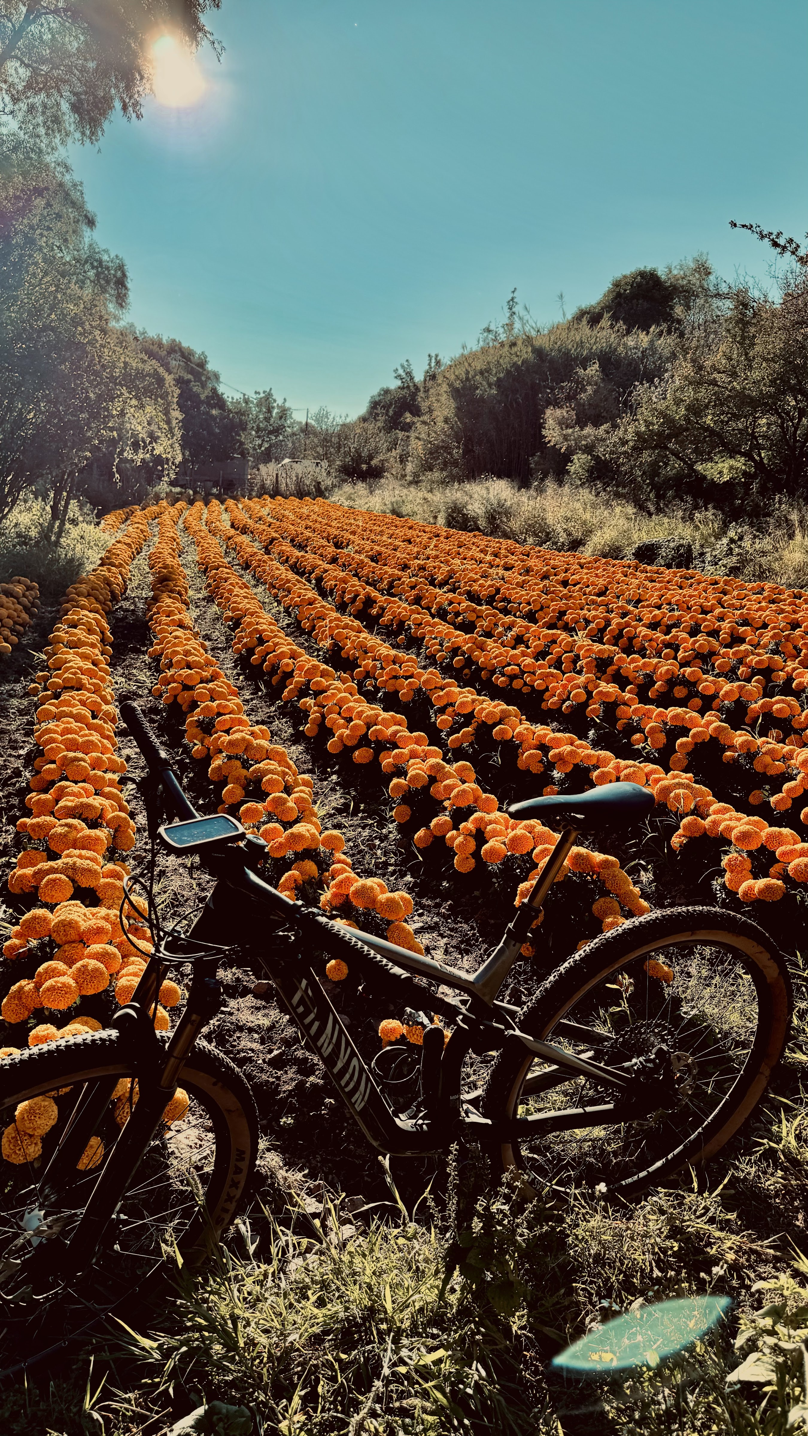 Taqueria Min image 4