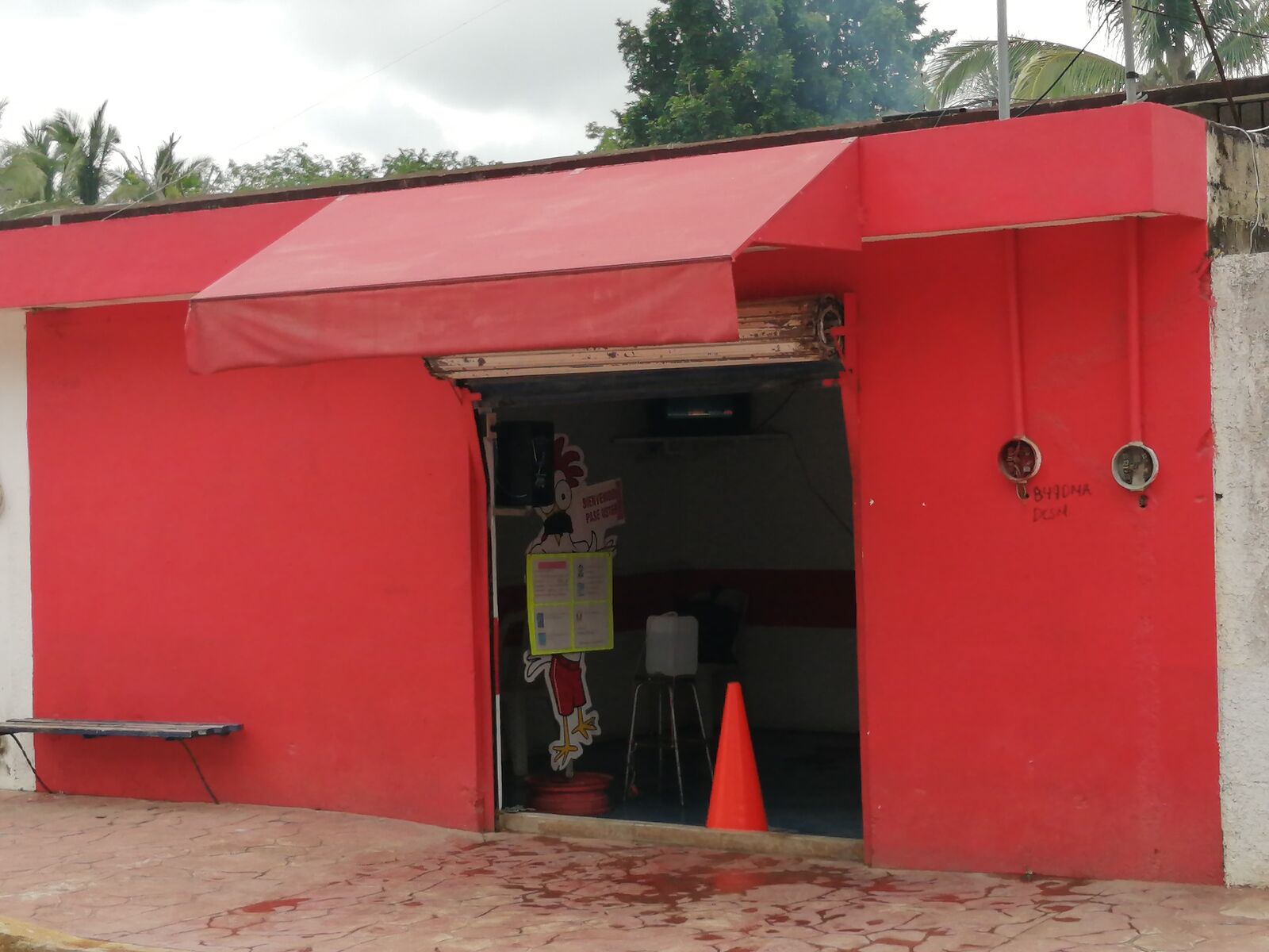 Carnes alas brasas. image 7