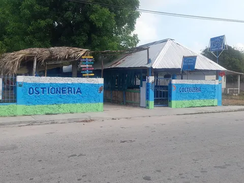 Ostionera Águila Marina image 4