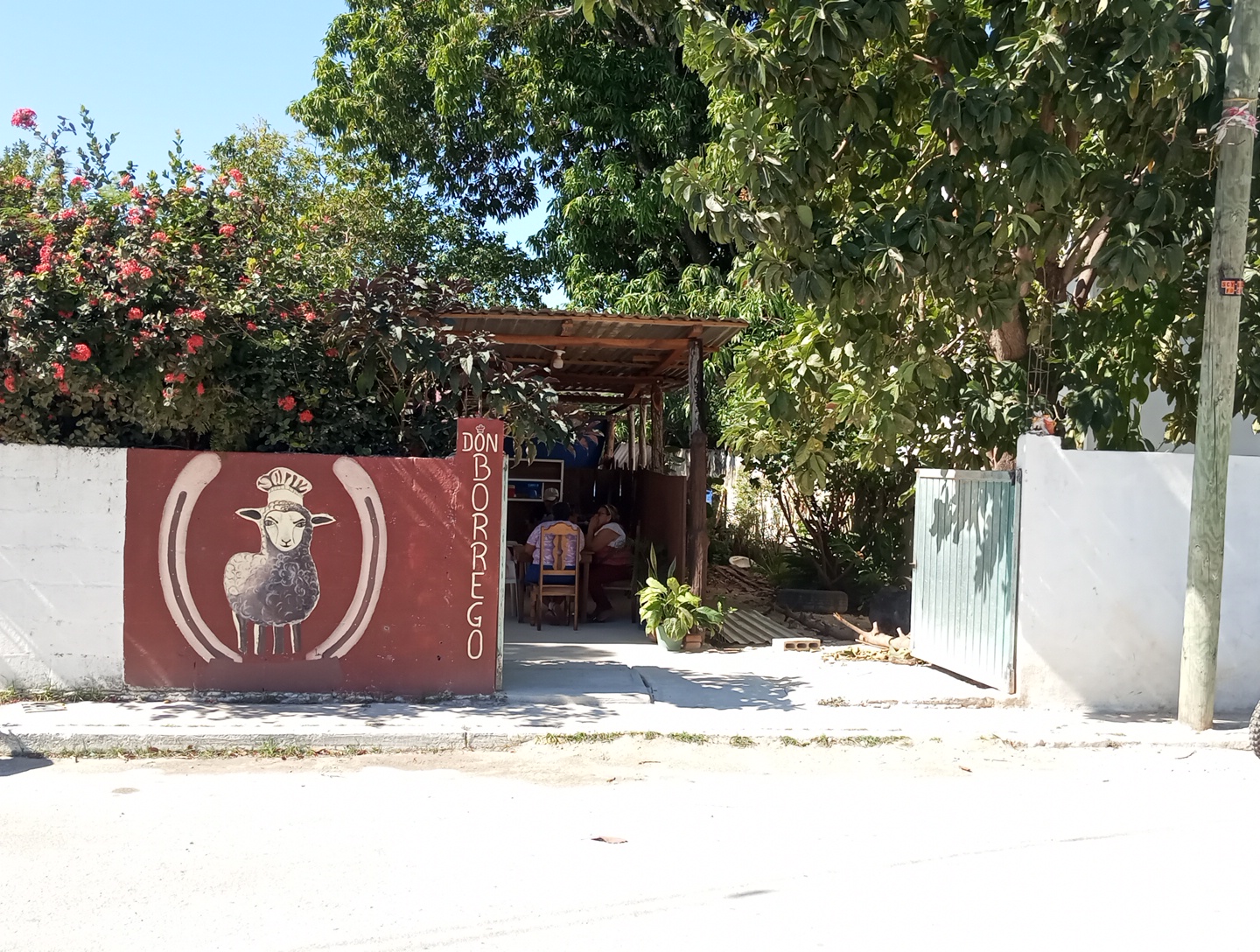 DON BORREGO image 4