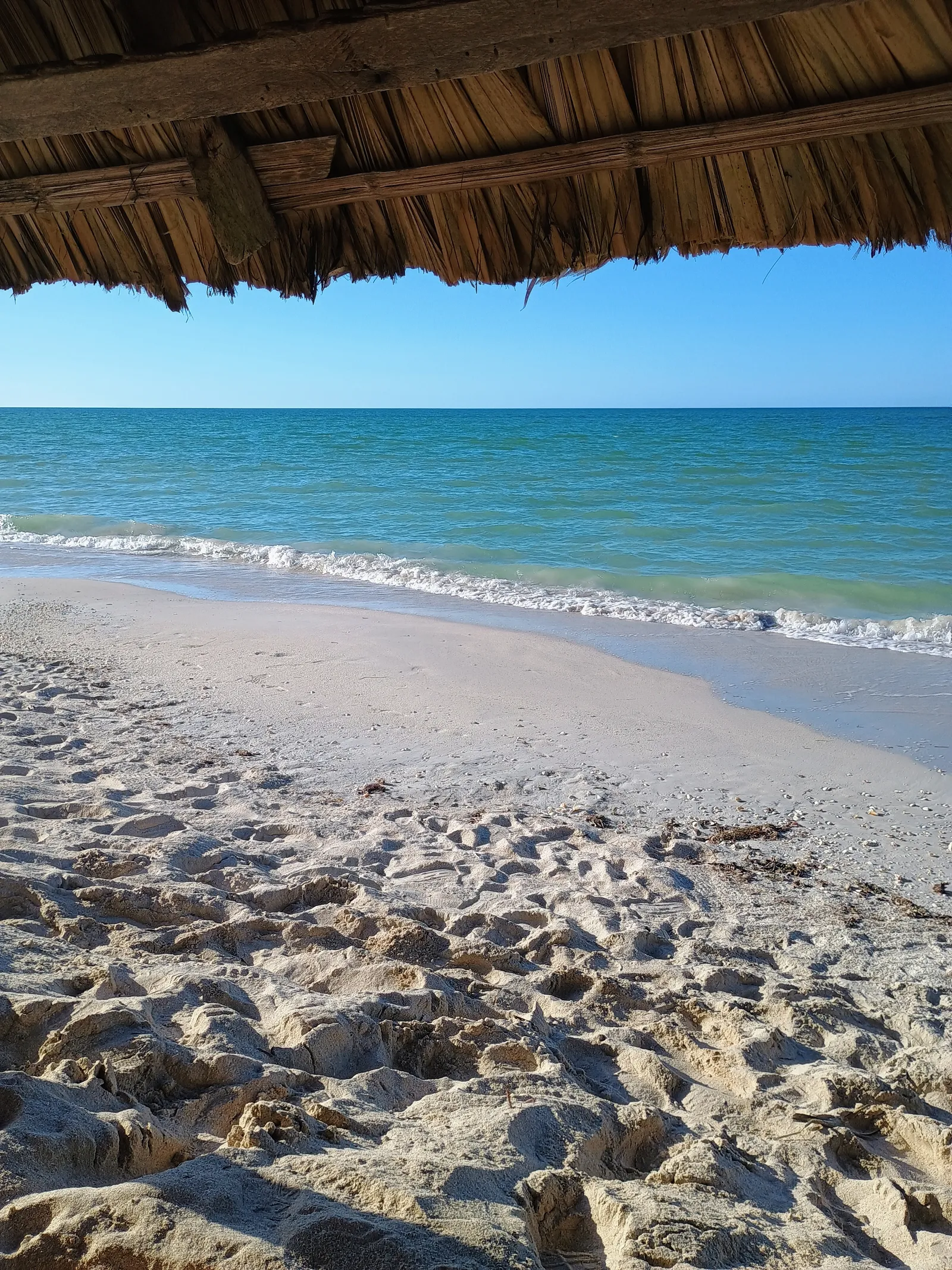 Los Careyes image 6