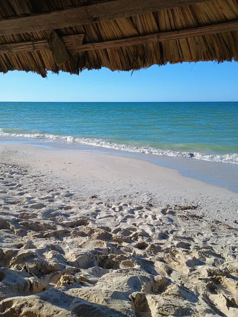 Los Careyes image 6