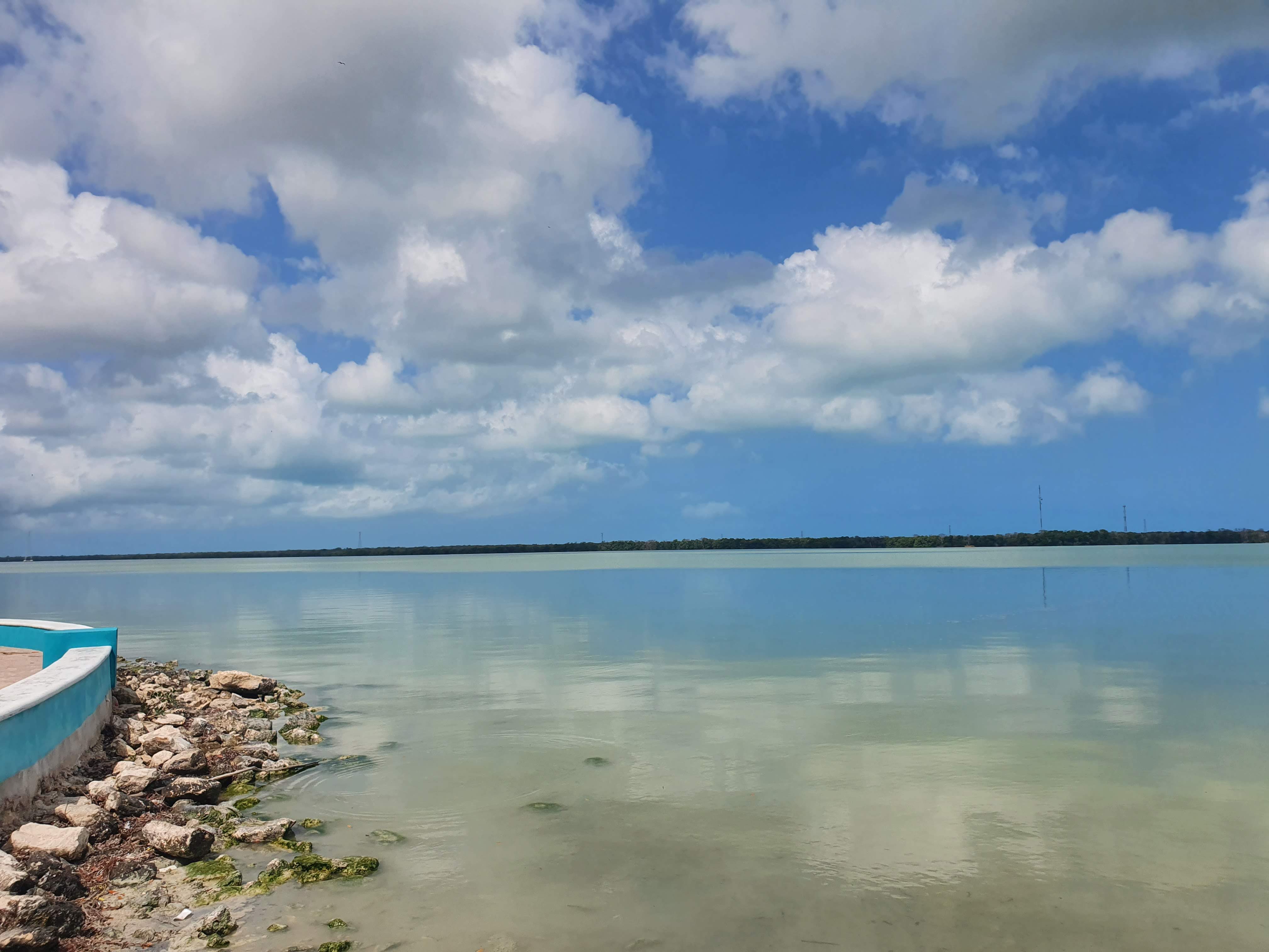 Antojitos "Doña Juanita" image 3