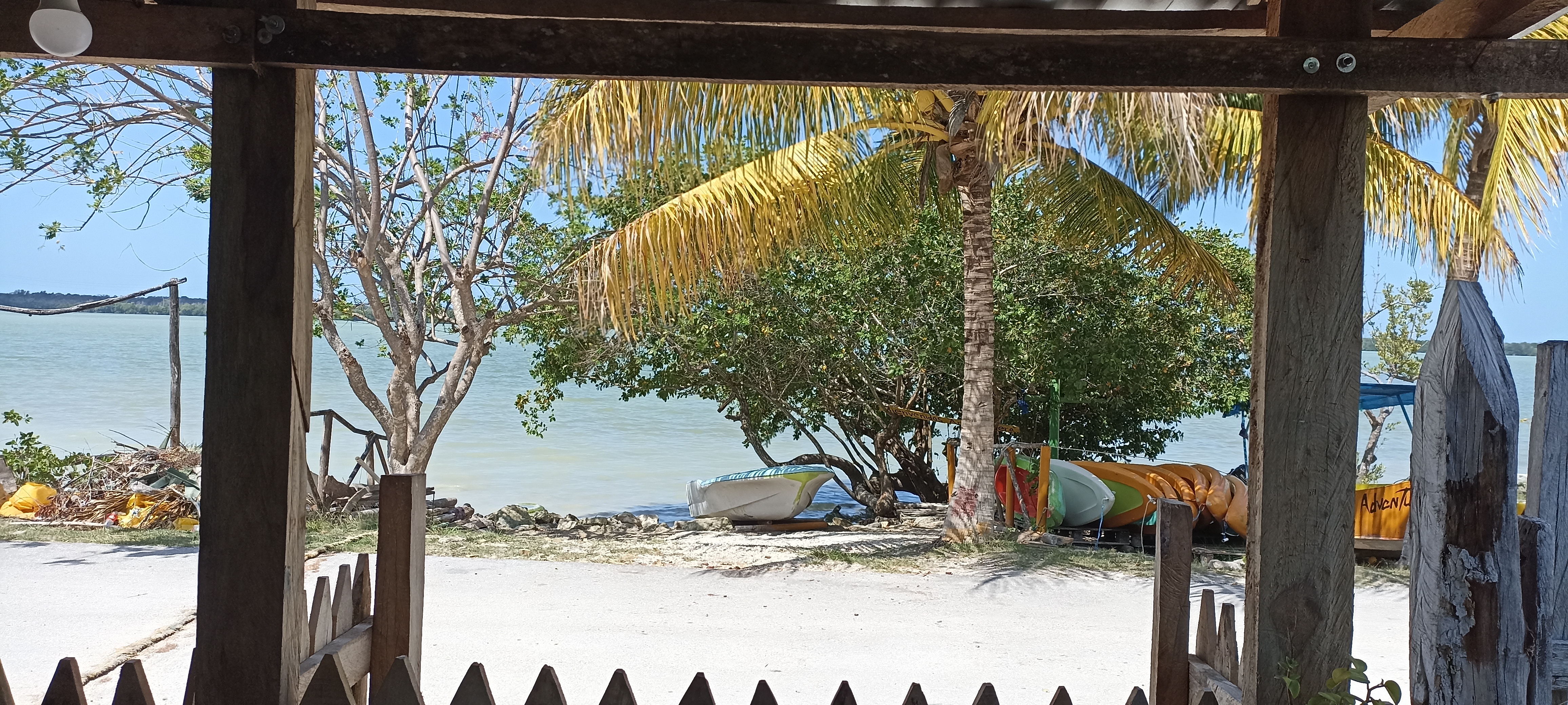 A comer se ha dicho image 1