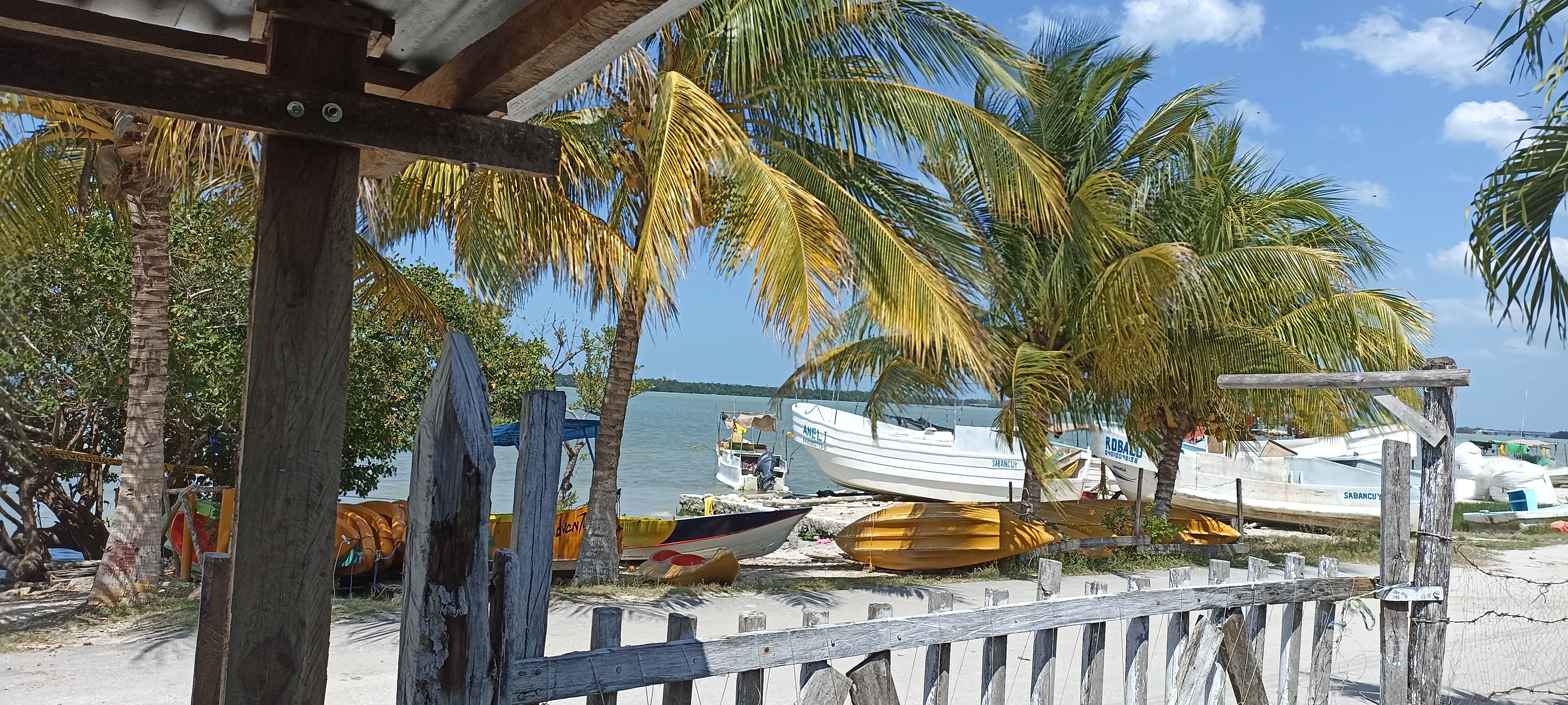 A comer se ha dicho image 3