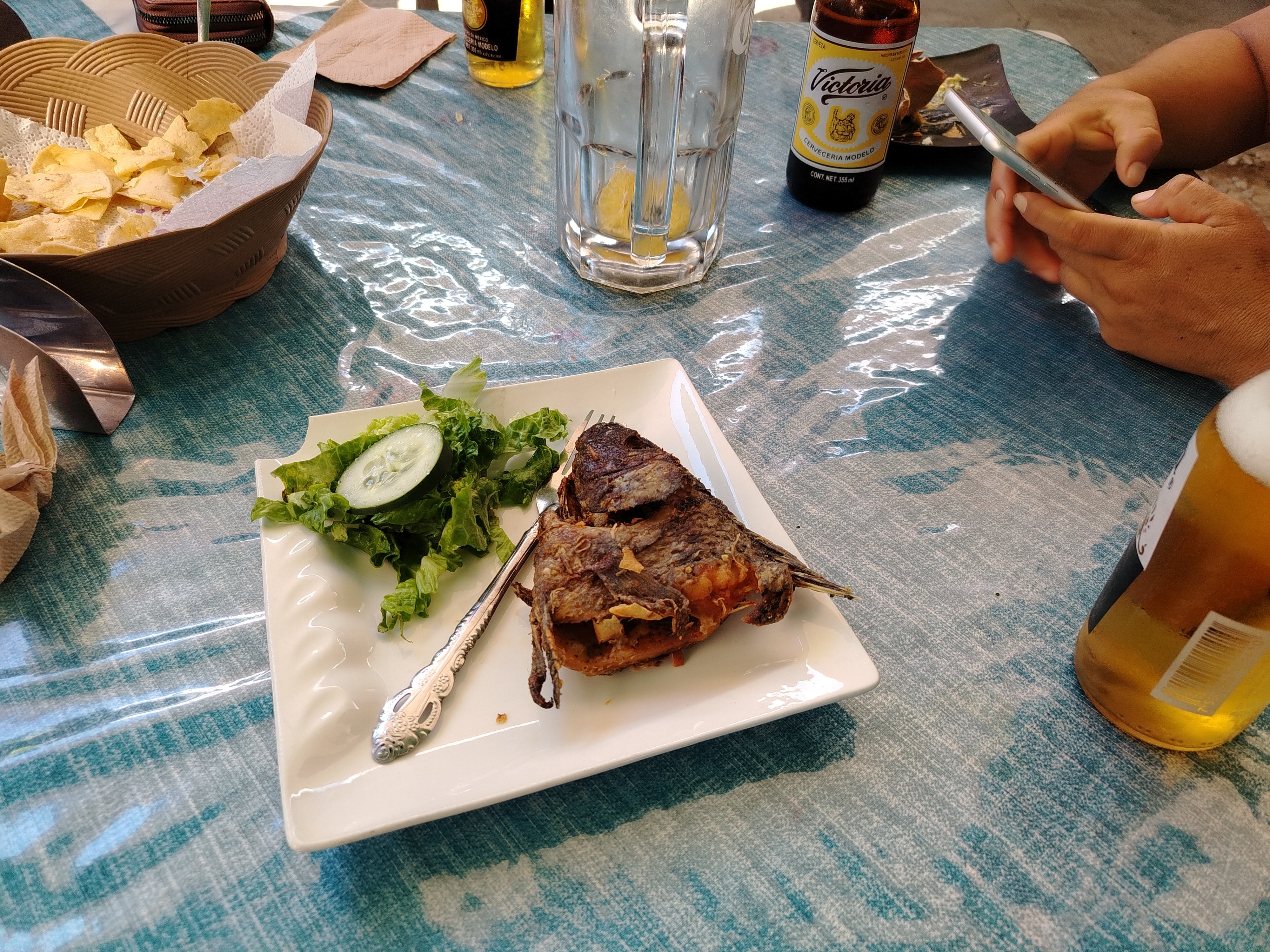 Centro Botanero Luna Nueva image 2