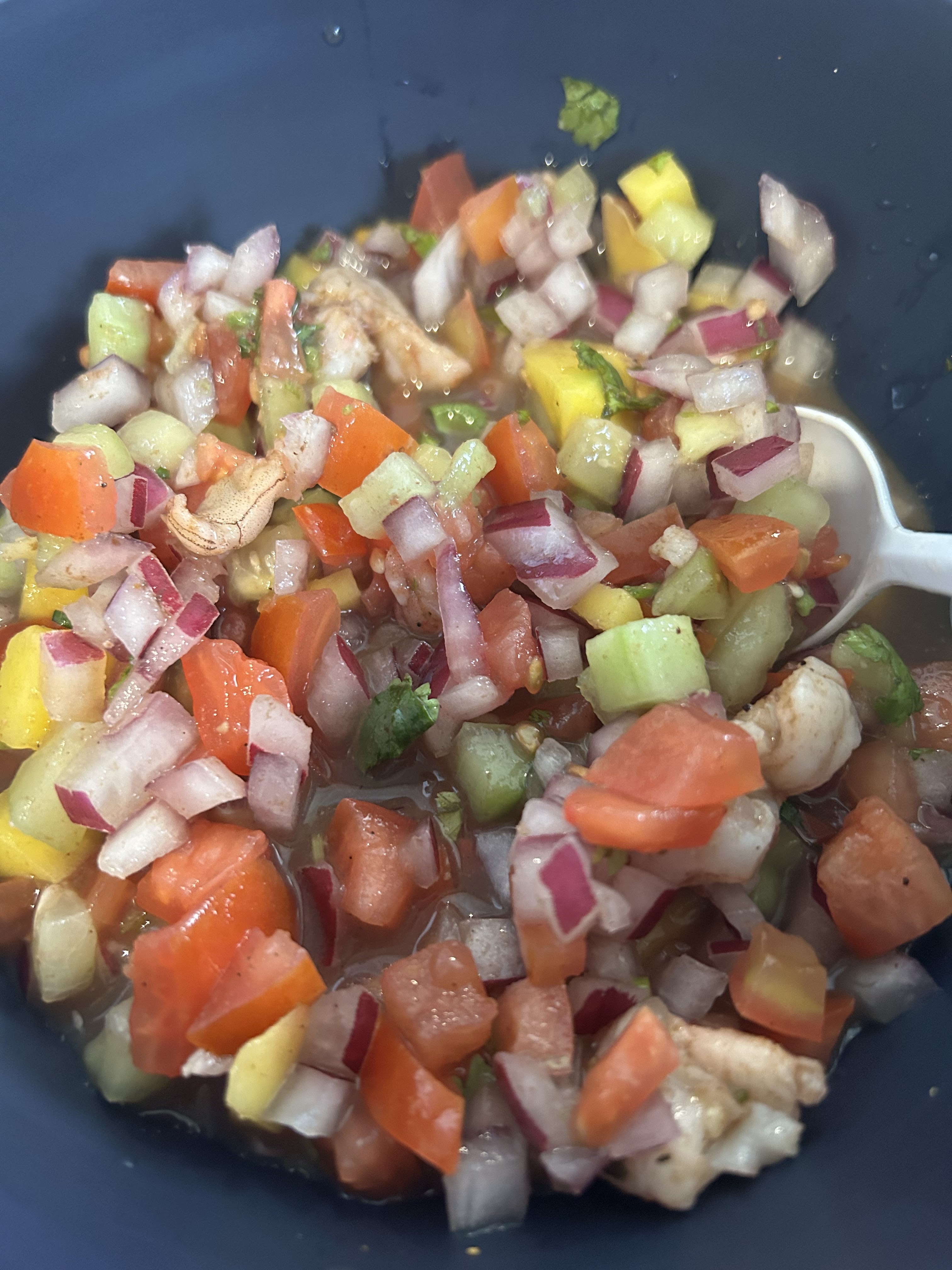 La Cuaresma Maclovio Rojas image 3