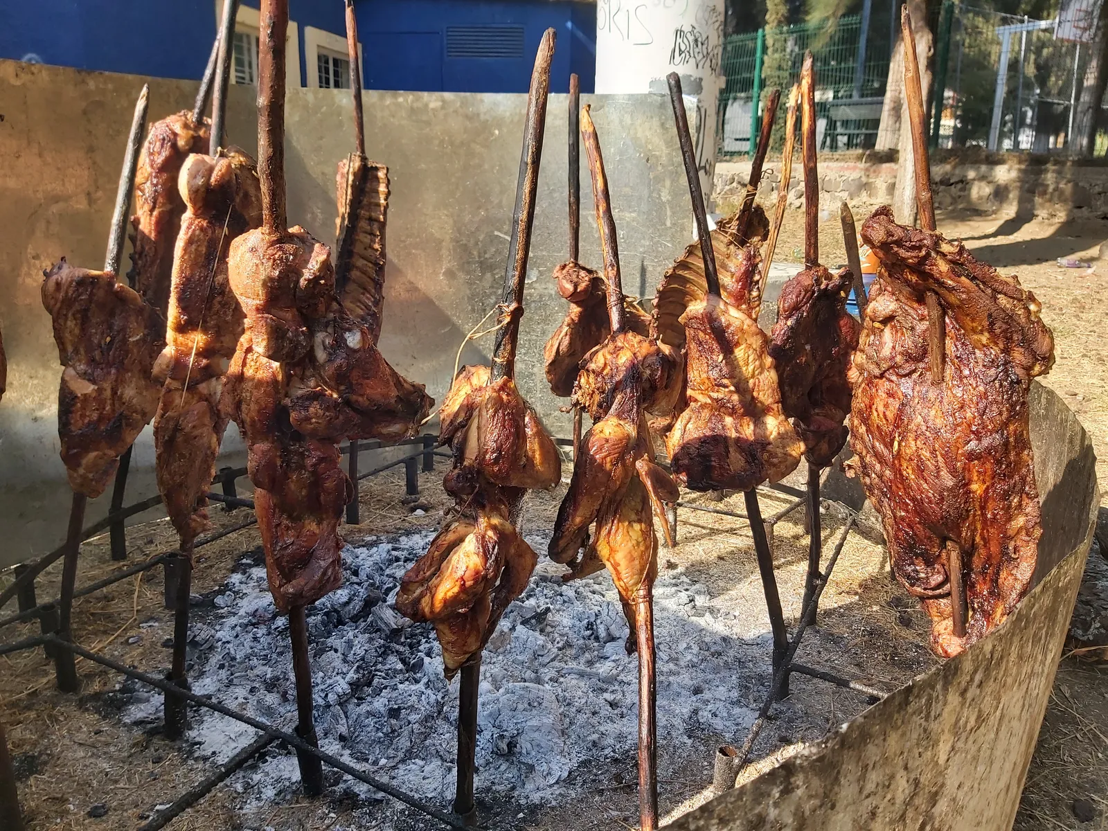 PASTOREADOS image 1