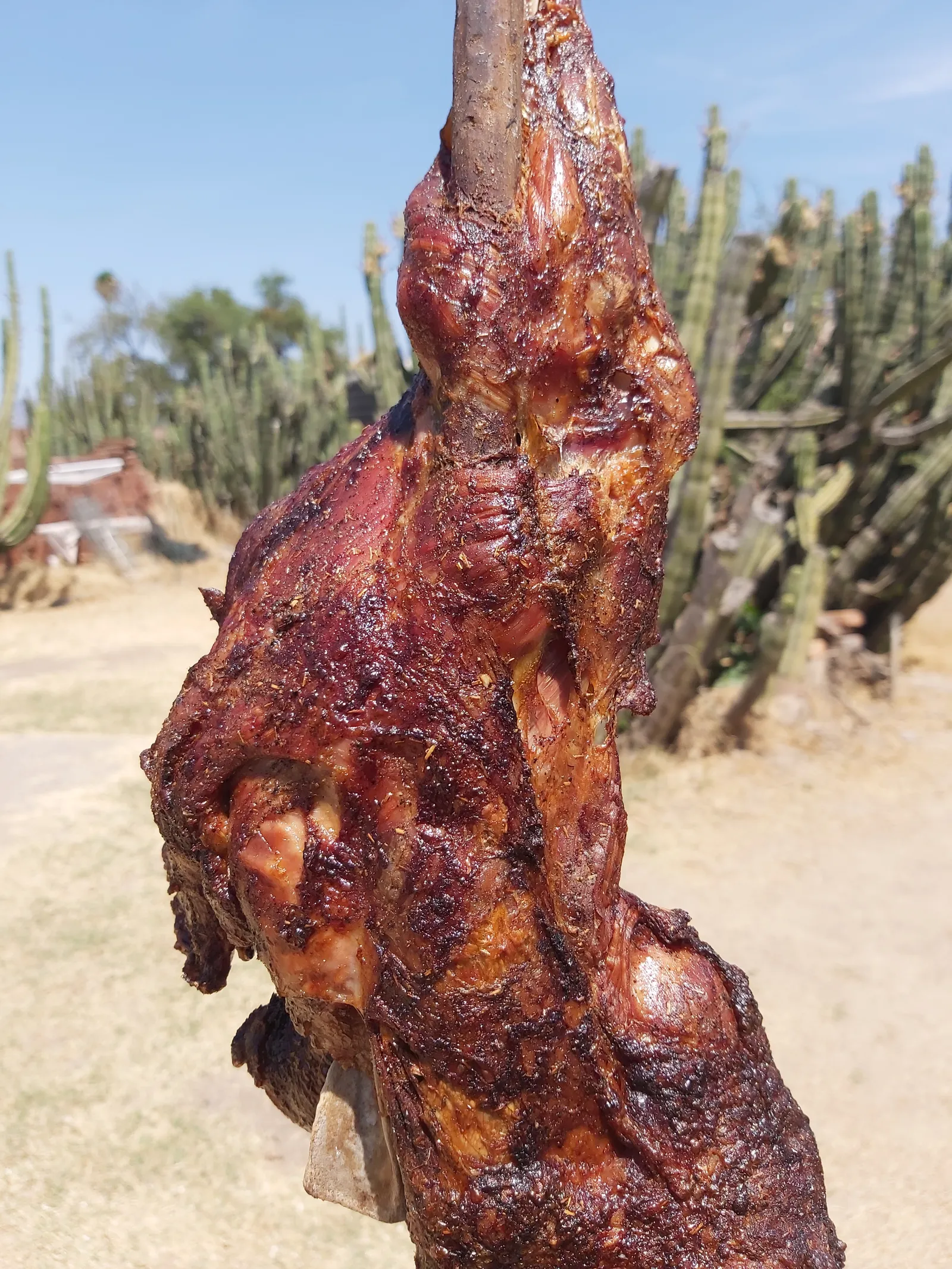 PASTOREADOS image 3