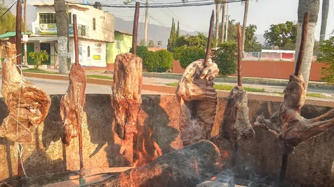 PASTOREADOS image 6