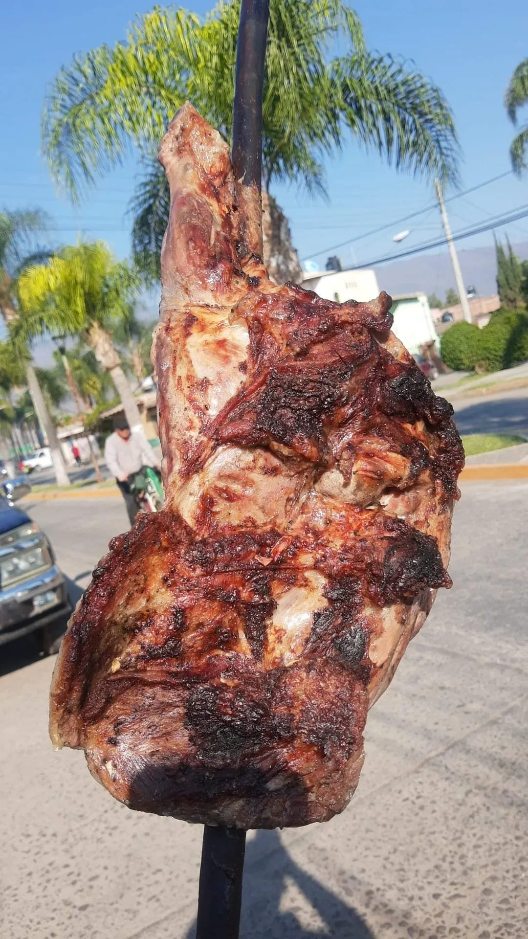 PASTOREADOS image 8