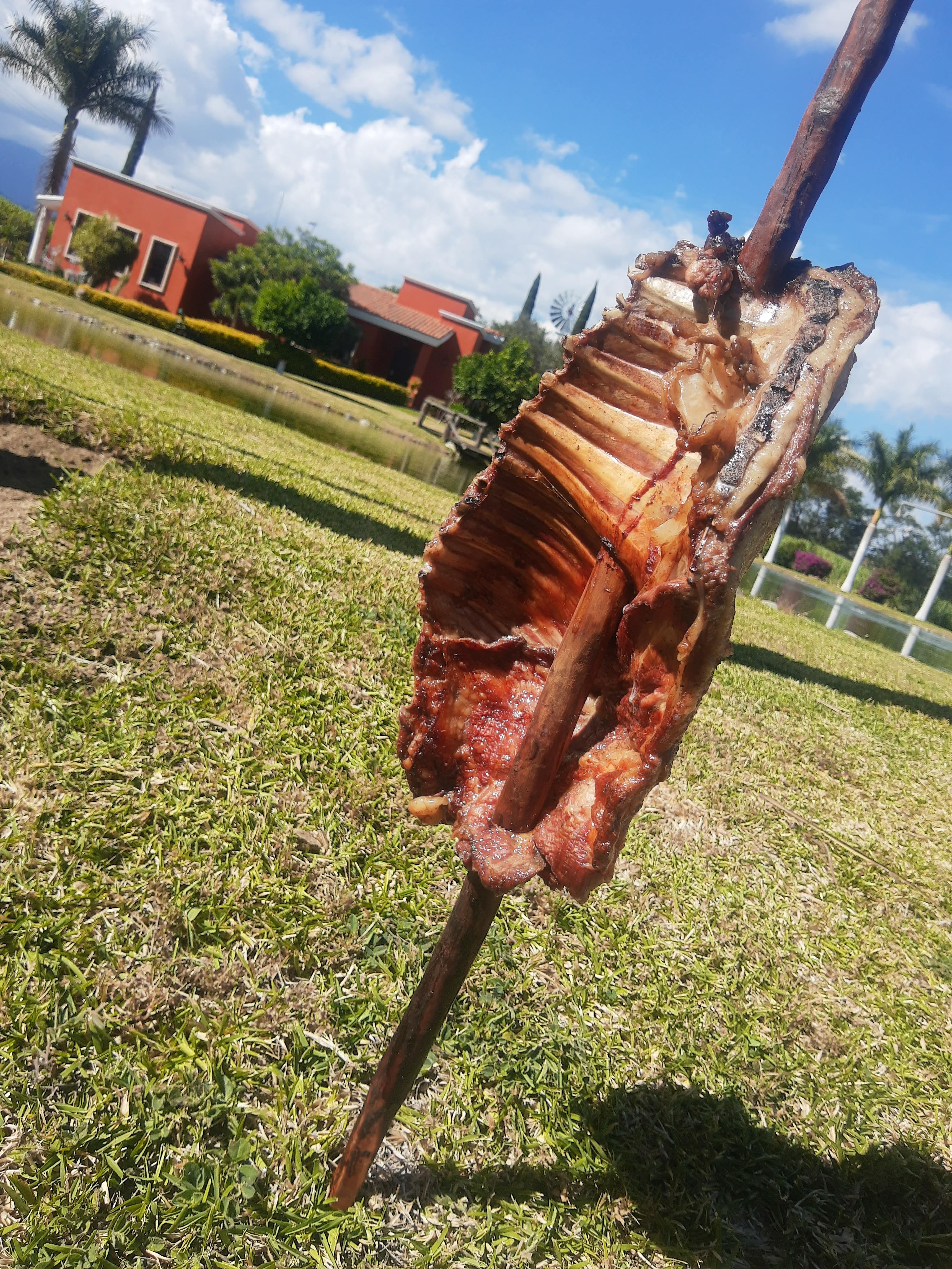 PASTOREADOS image 10