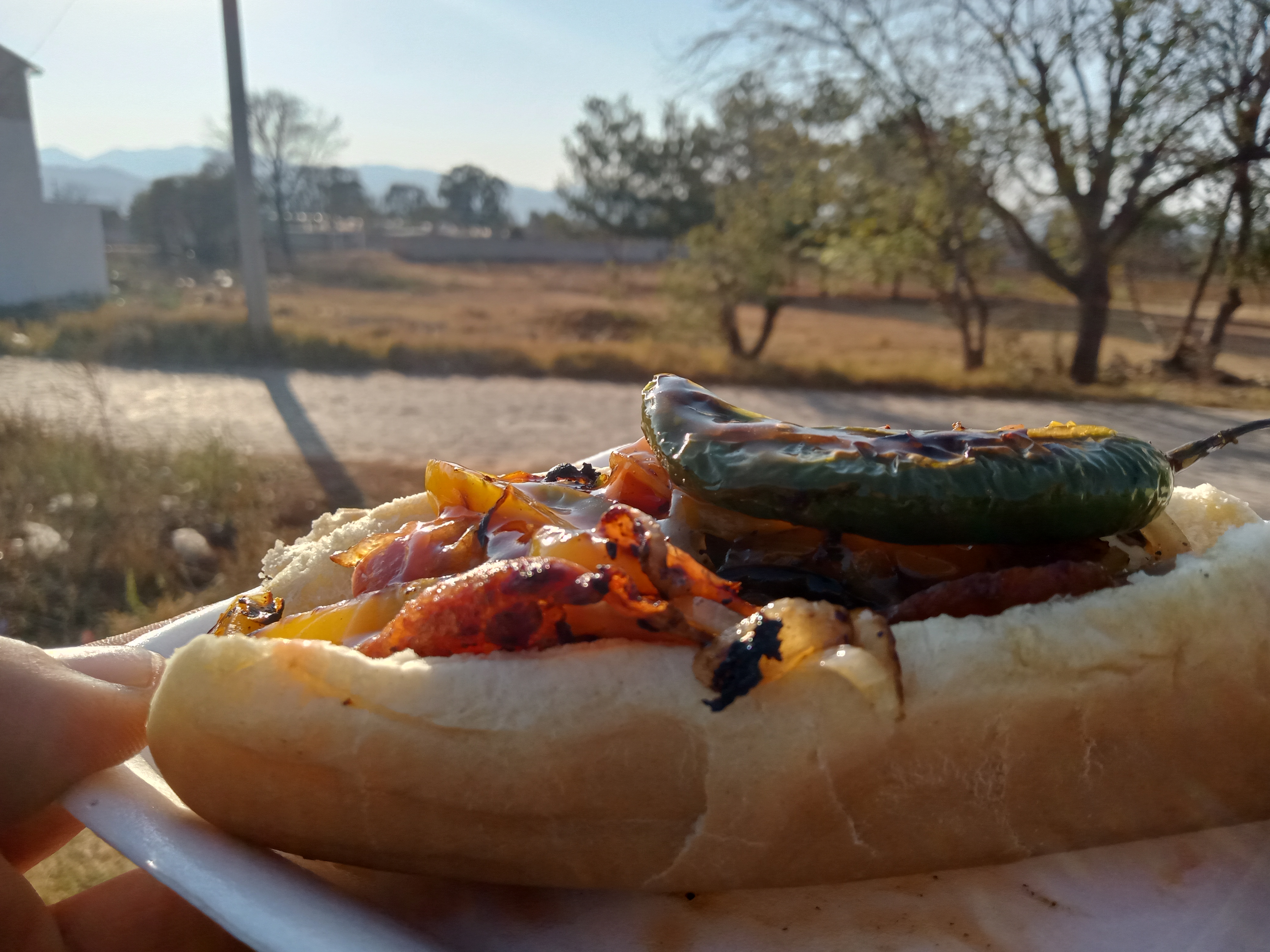 Ruffis Burger Atotonilco el Grande image 8