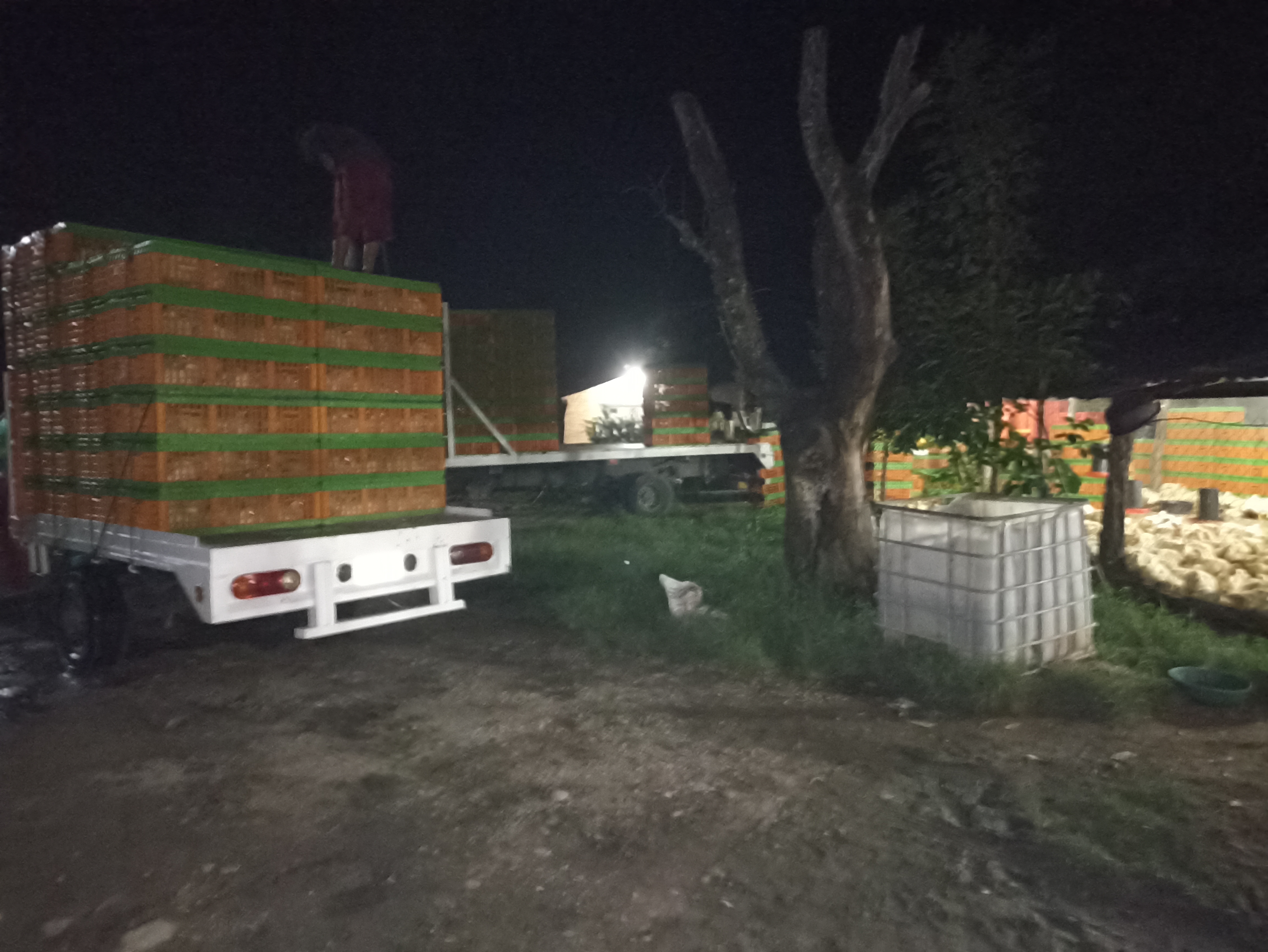 Pollos Villa rica image 3