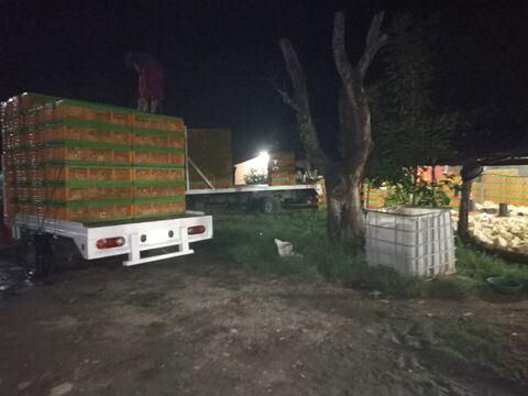 Pollos Villa rica image 3