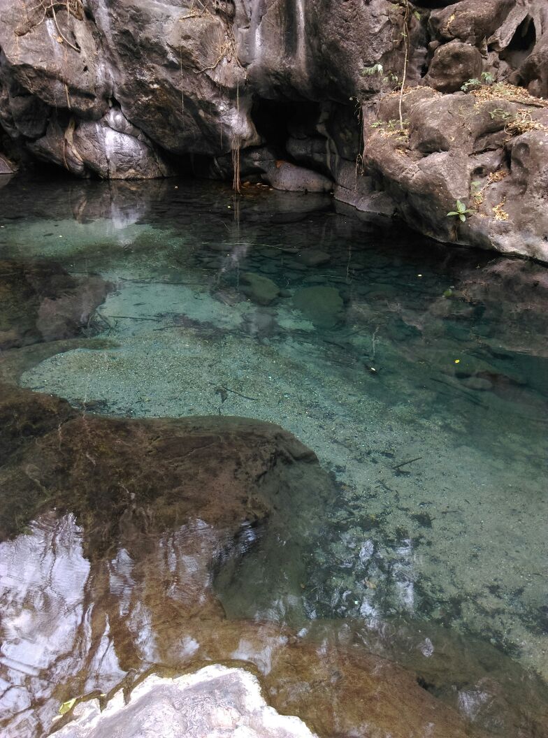 Crustaceo Cascarudo Hamburguesas image 3