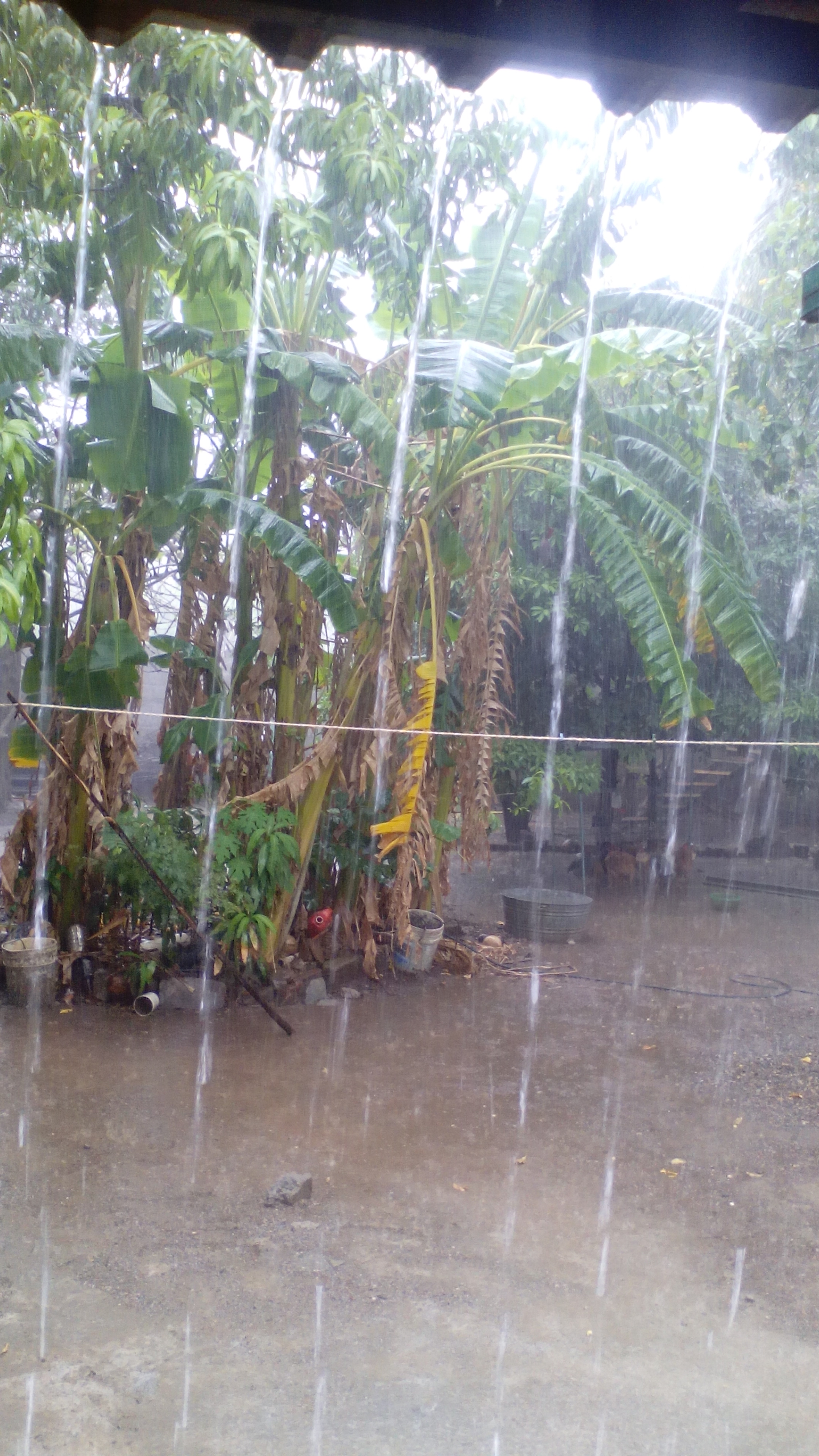 Crustaceo Cascarudo Hamburguesas image 4