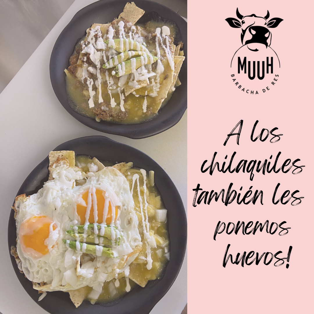 Muuh barbacha de res image 2