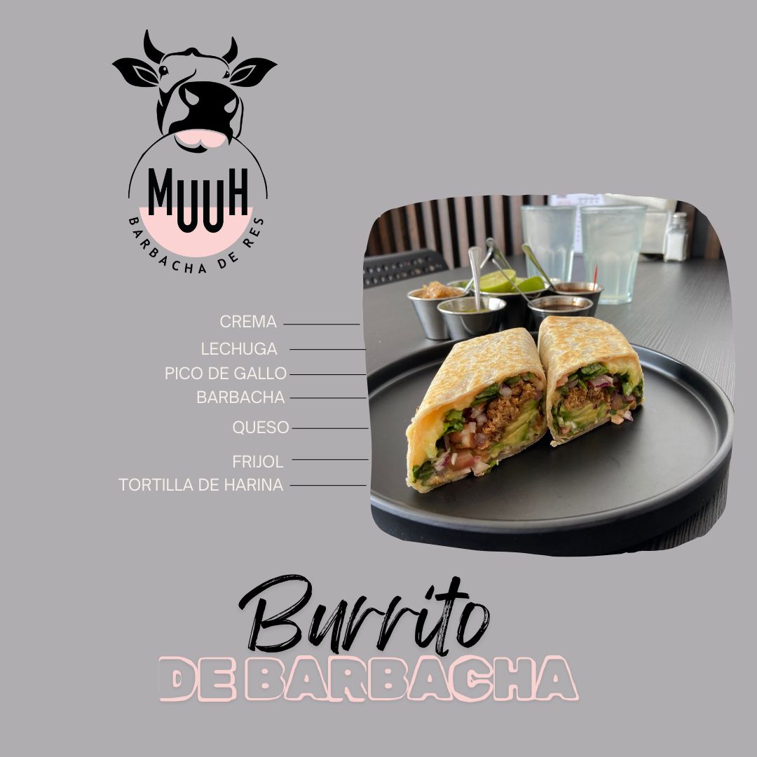 Muuh barbacha de res image 7