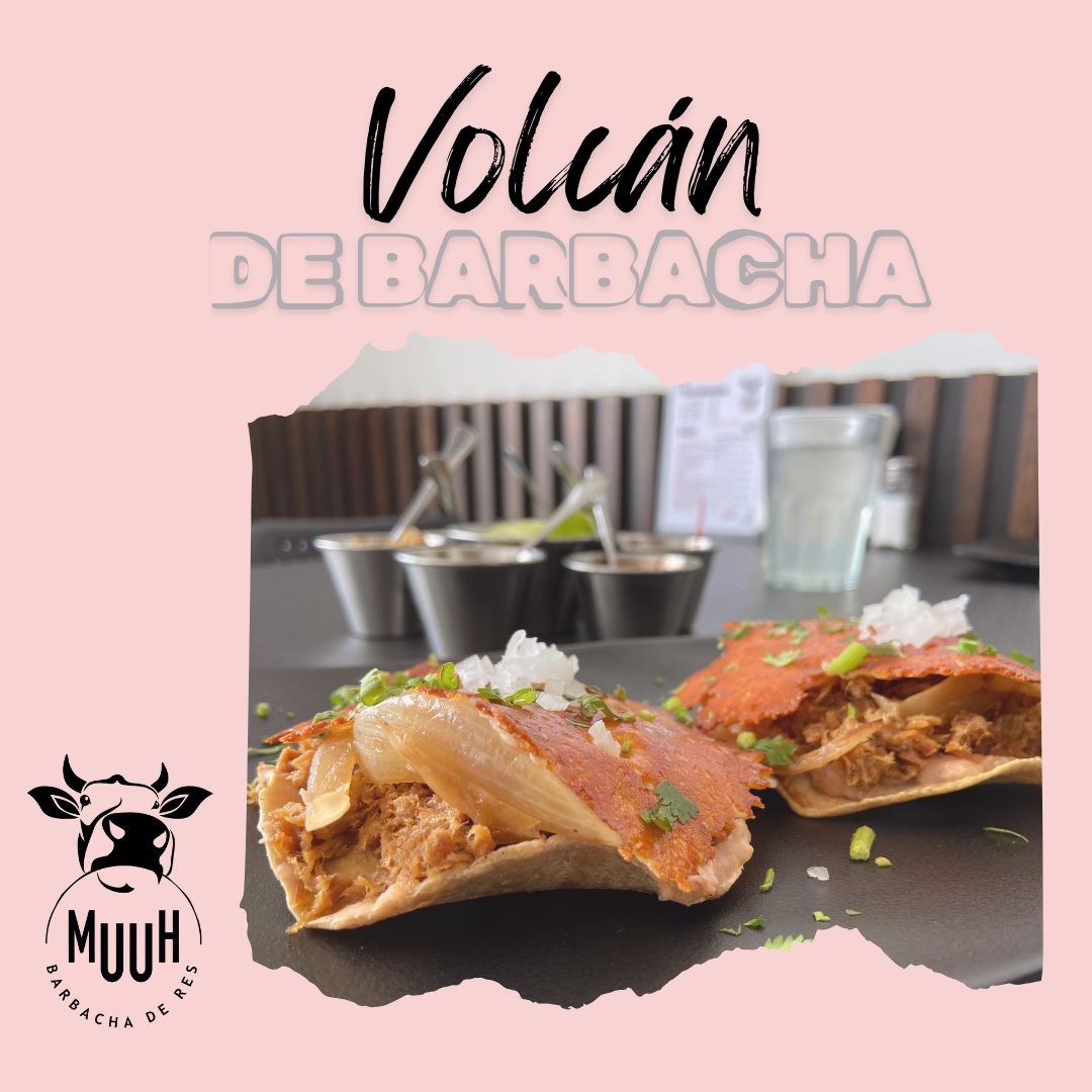 Muuh barbacha de res image 8