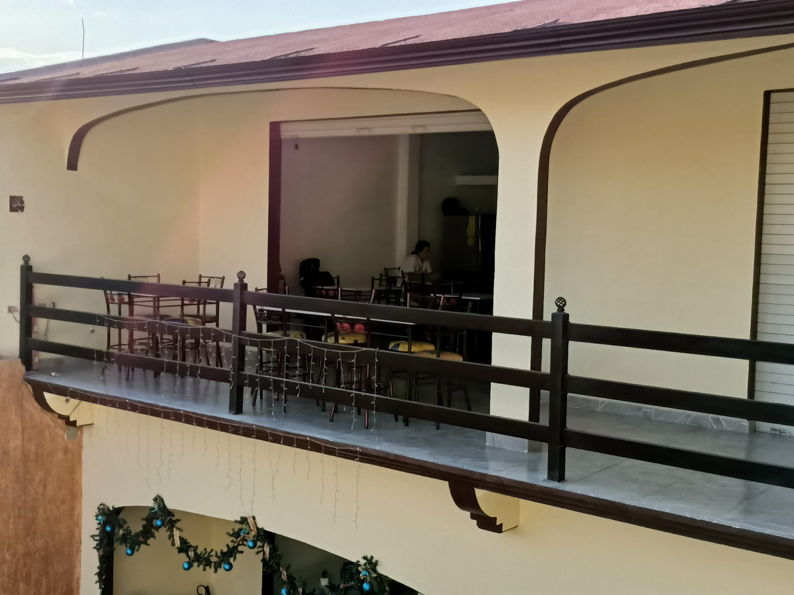 Jalisco Wings image 7