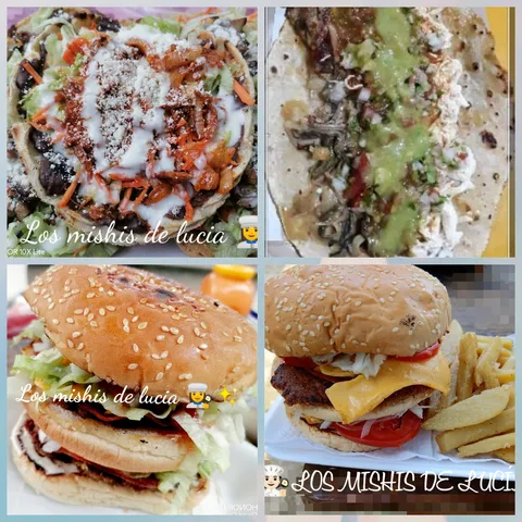 LOS MICHIS DE LUCIA image 1