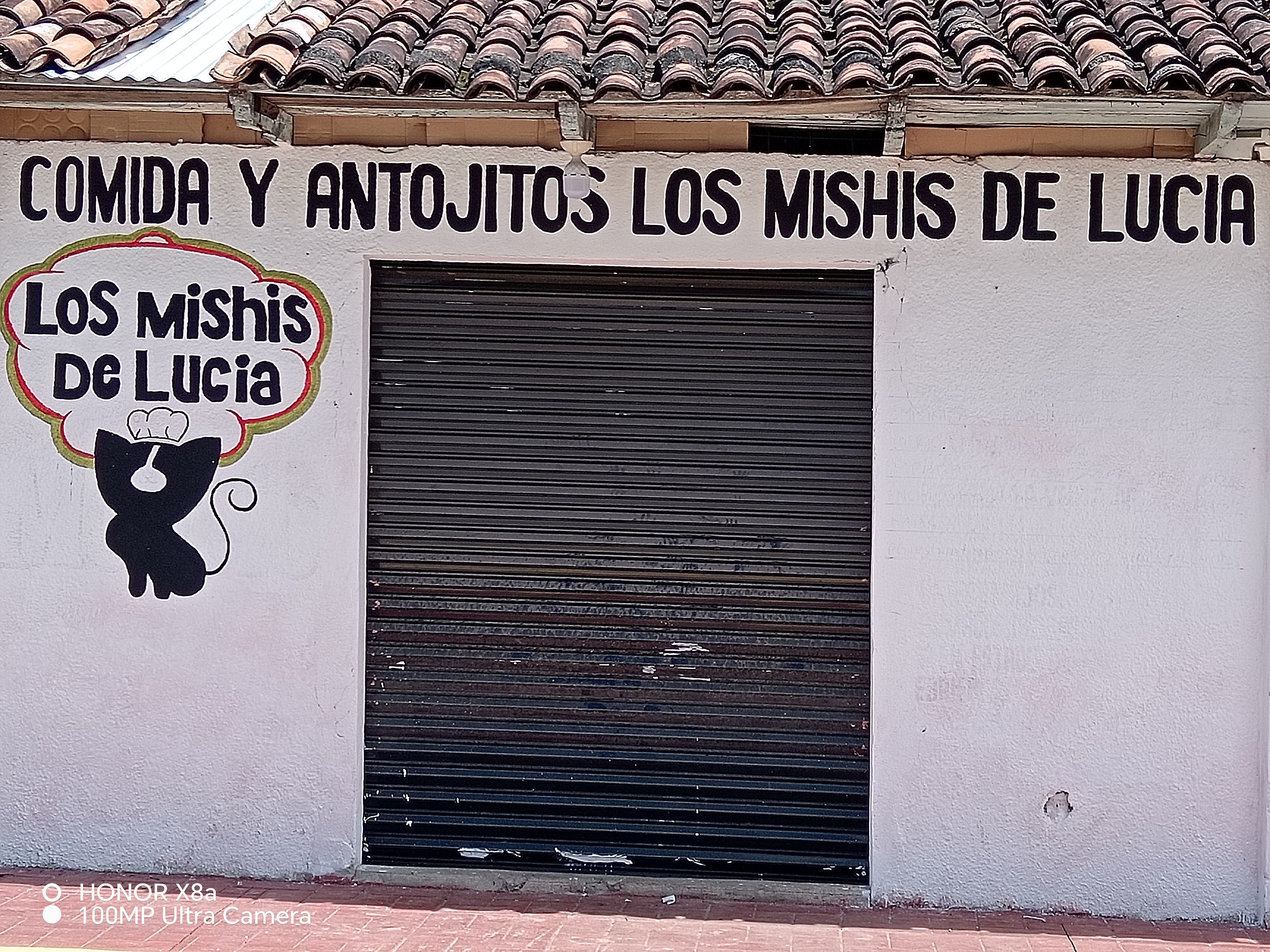 LOS MICHIS DE LUCIA image 2