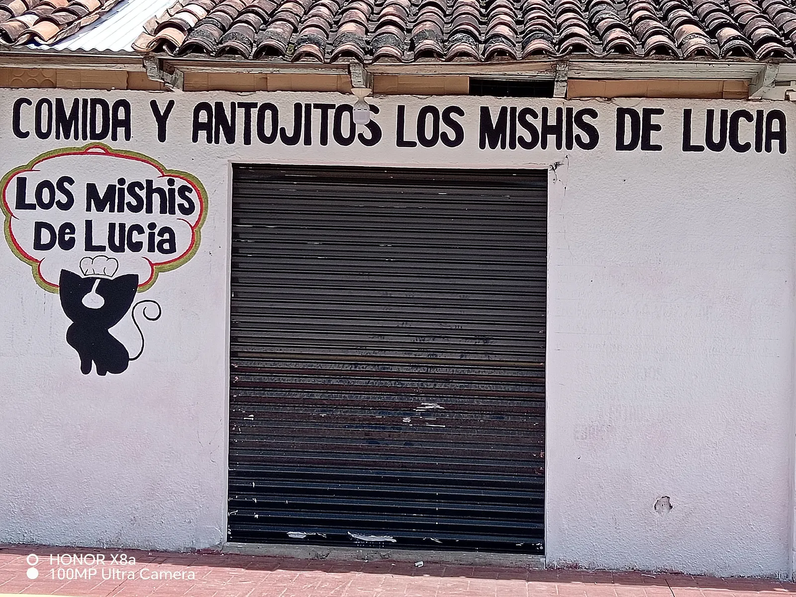 LOS MICHIS DE LUCIA image 2