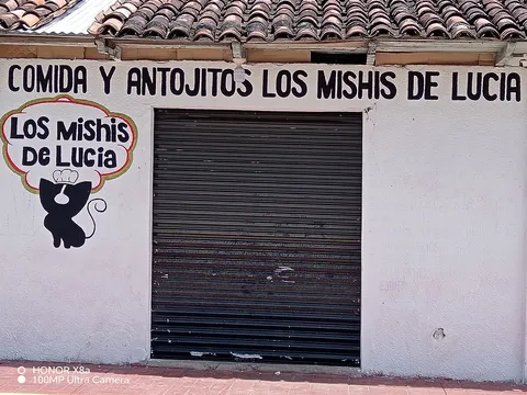 LOS MICHIS DE LUCIA image 2