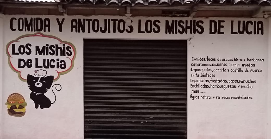 LOS MICHIS DE LUCIA image 4