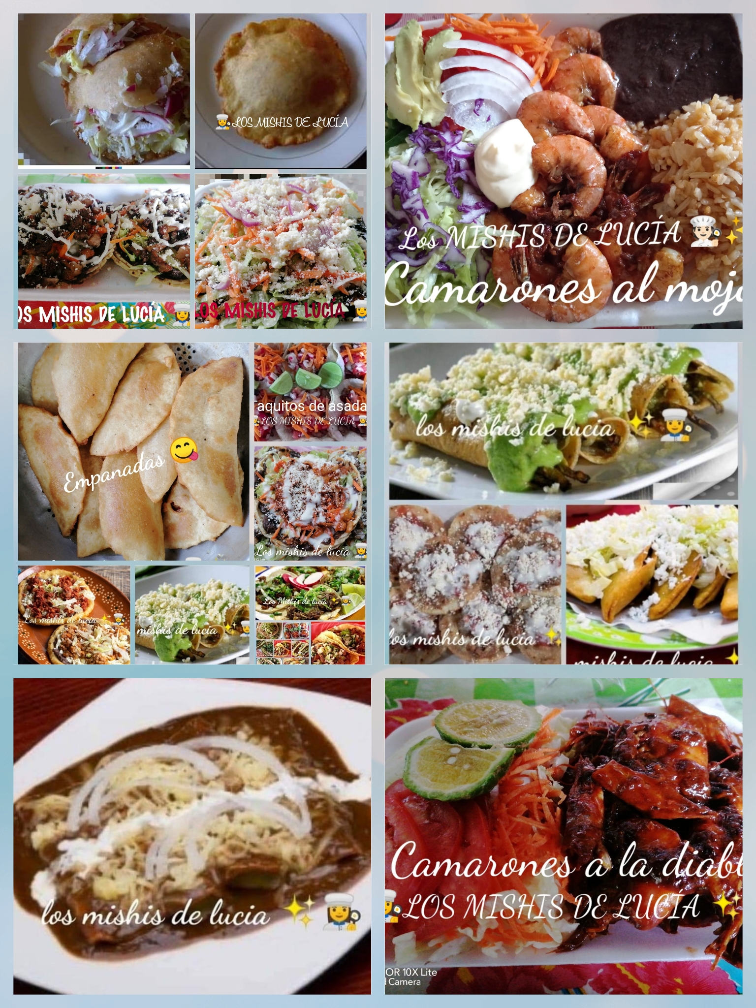 LOS MICHIS DE LUCIA image 5