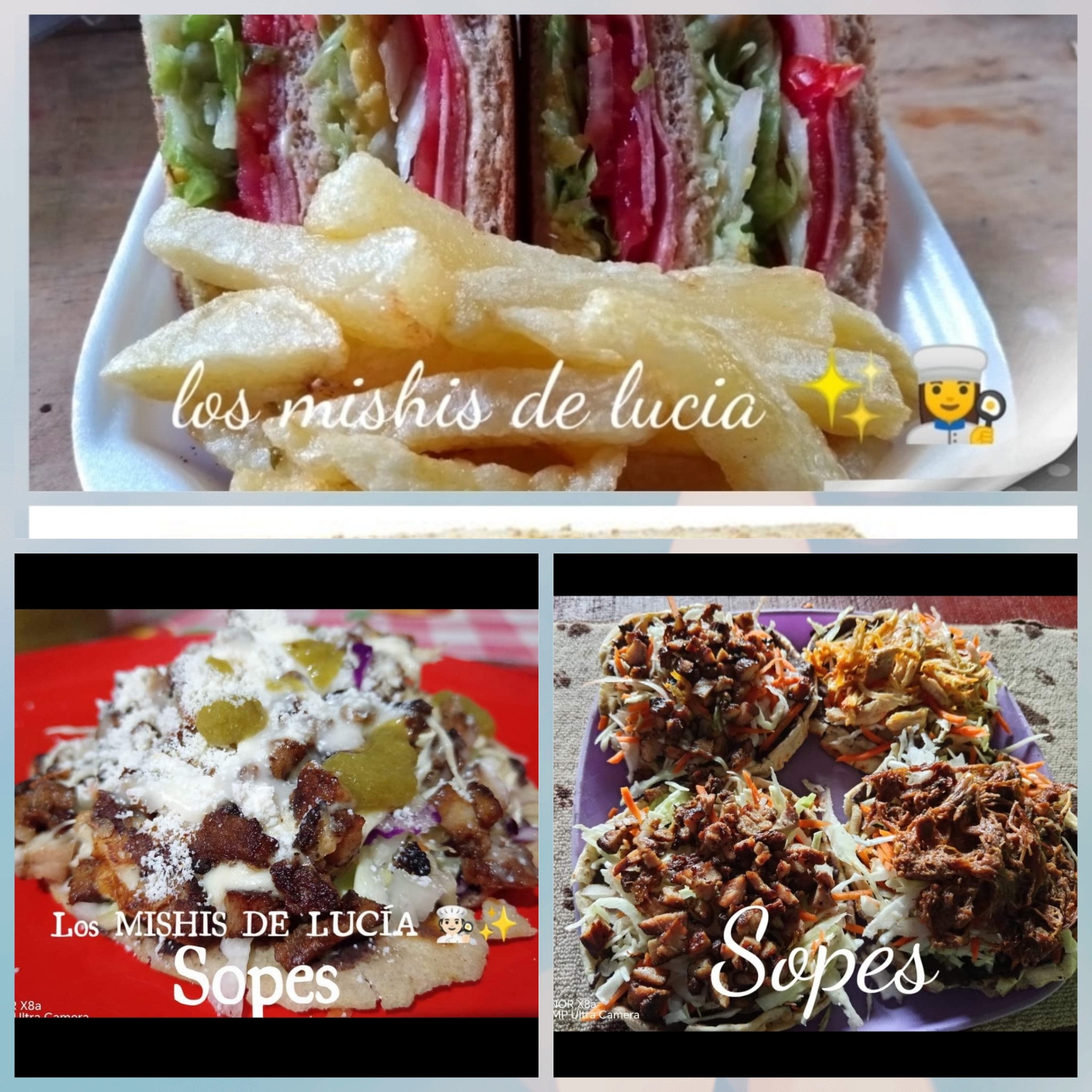 LOS MICHIS DE LUCIA image 7