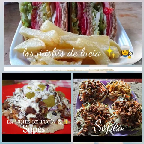 LOS MICHIS DE LUCIA image 7