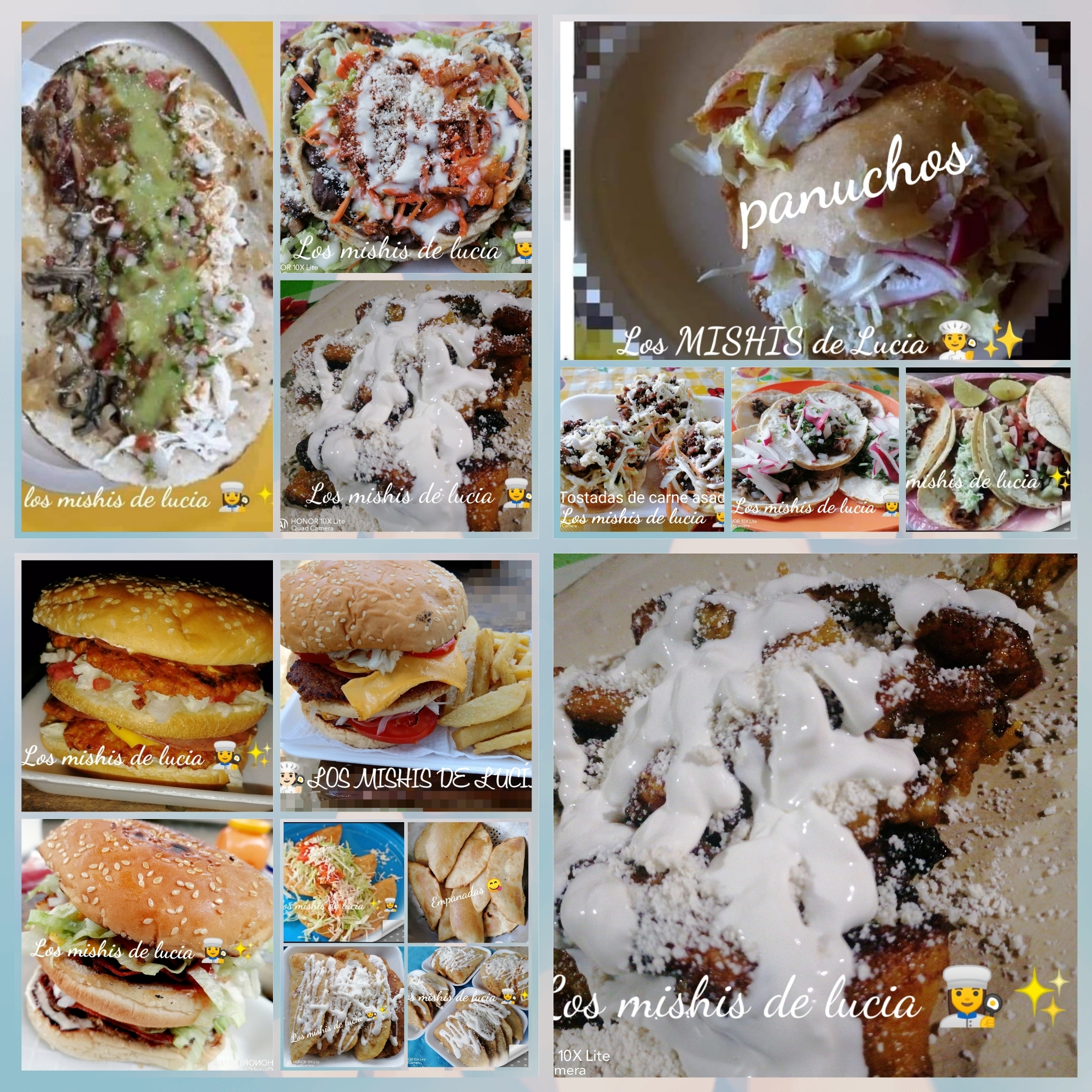 LOS MICHIS DE LUCIA image 9