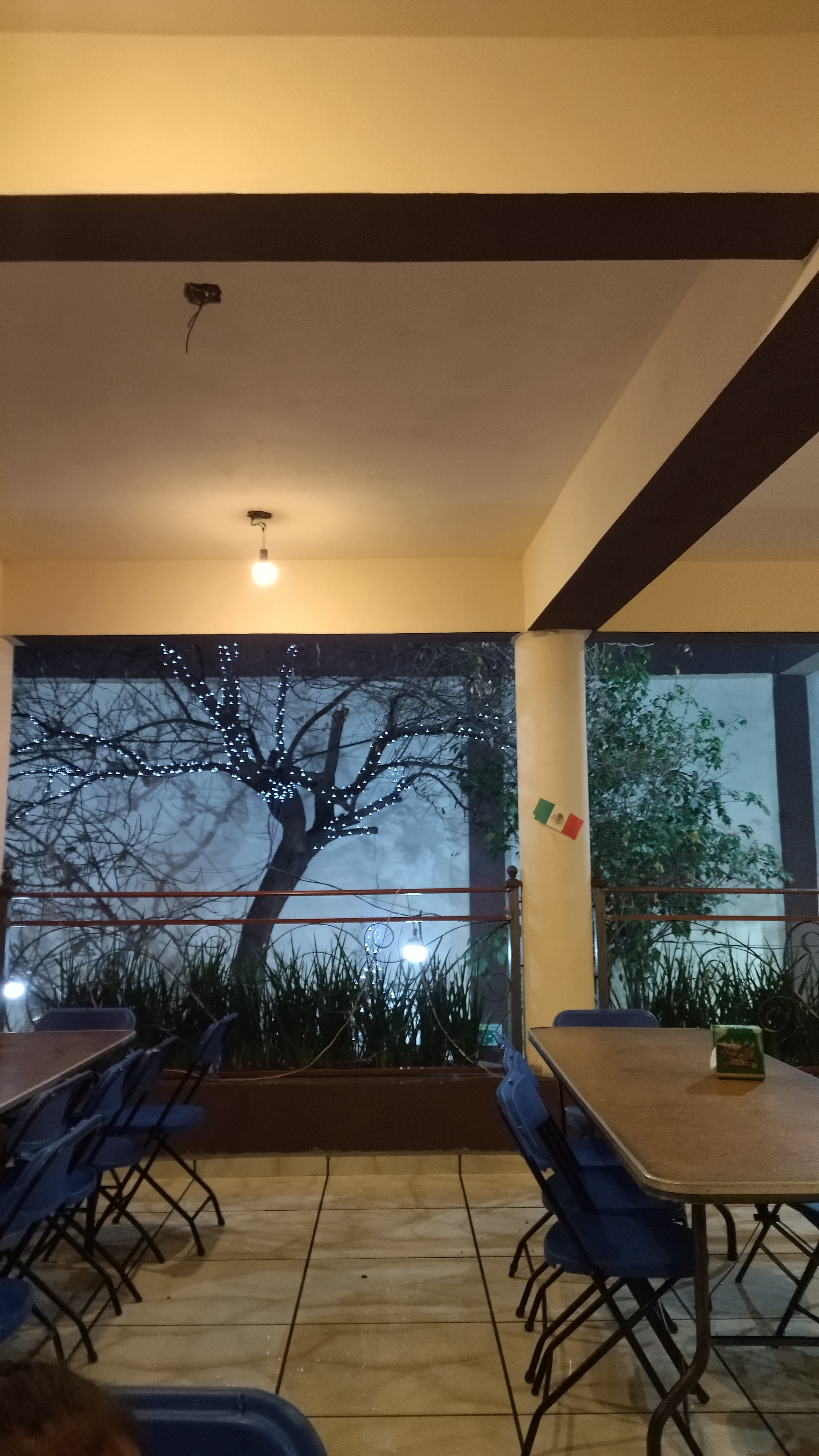 Taqueria Los Panchitos image 1