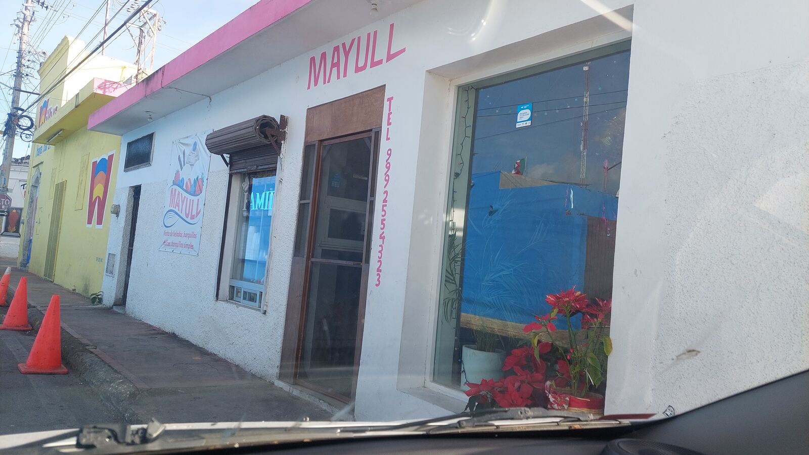 MAYULL image 9