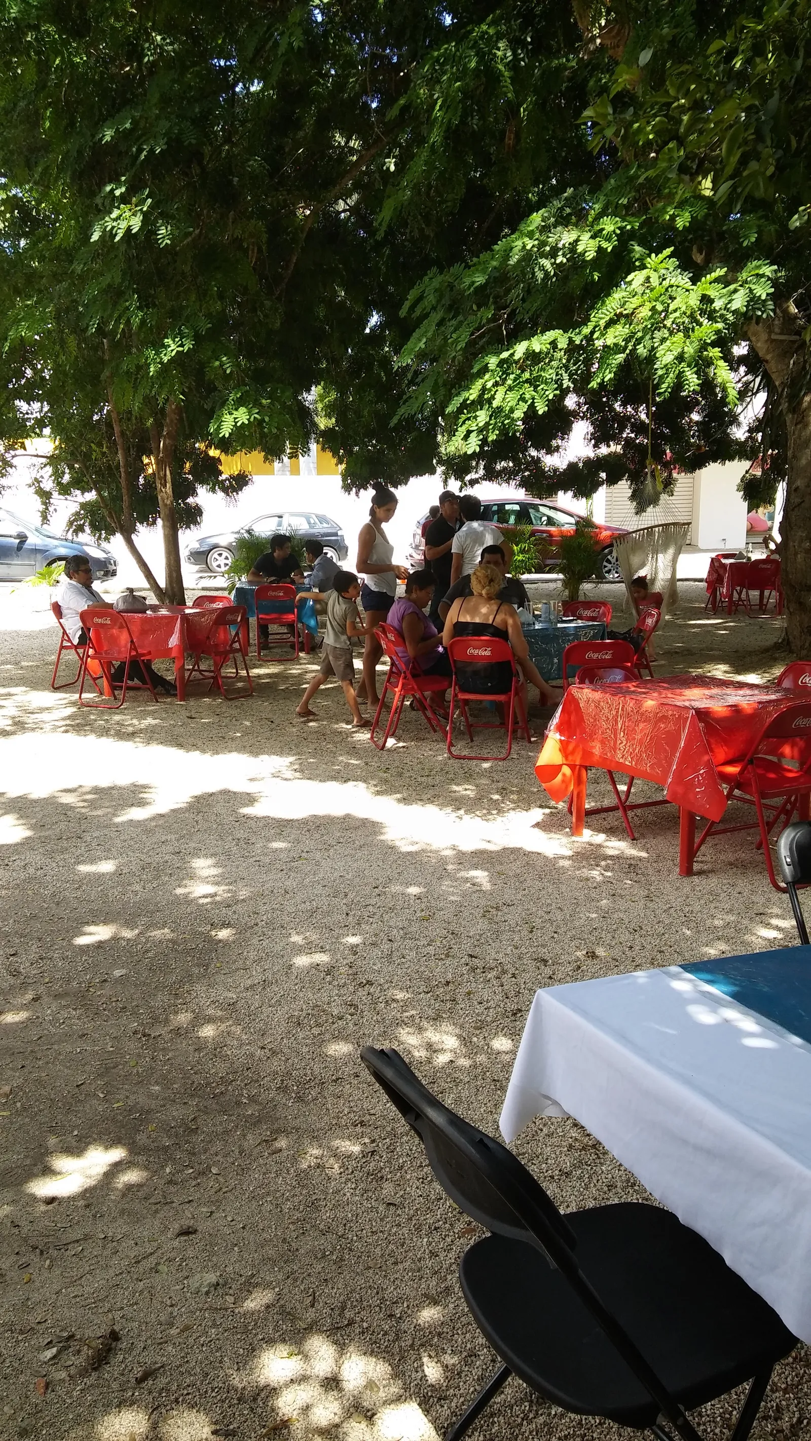 EL PALMAR image 3