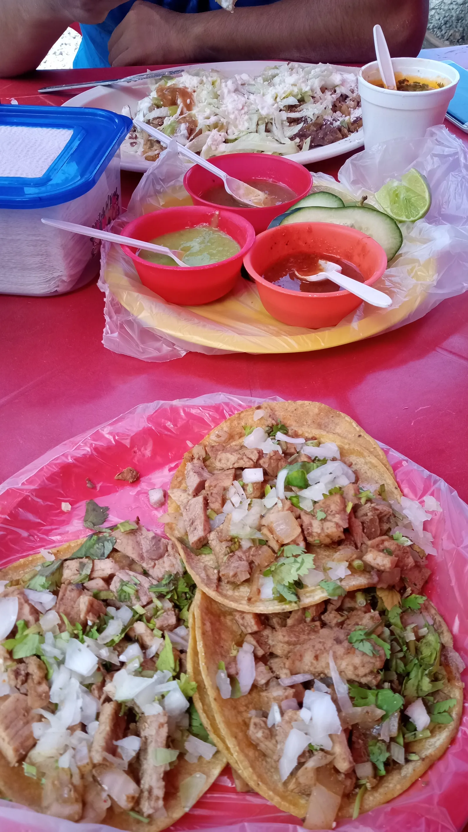Tacos Rex image 2