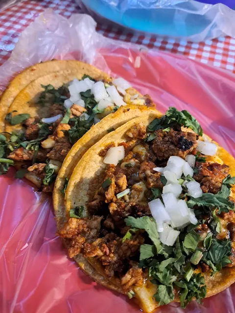 Tacos Rex image 4