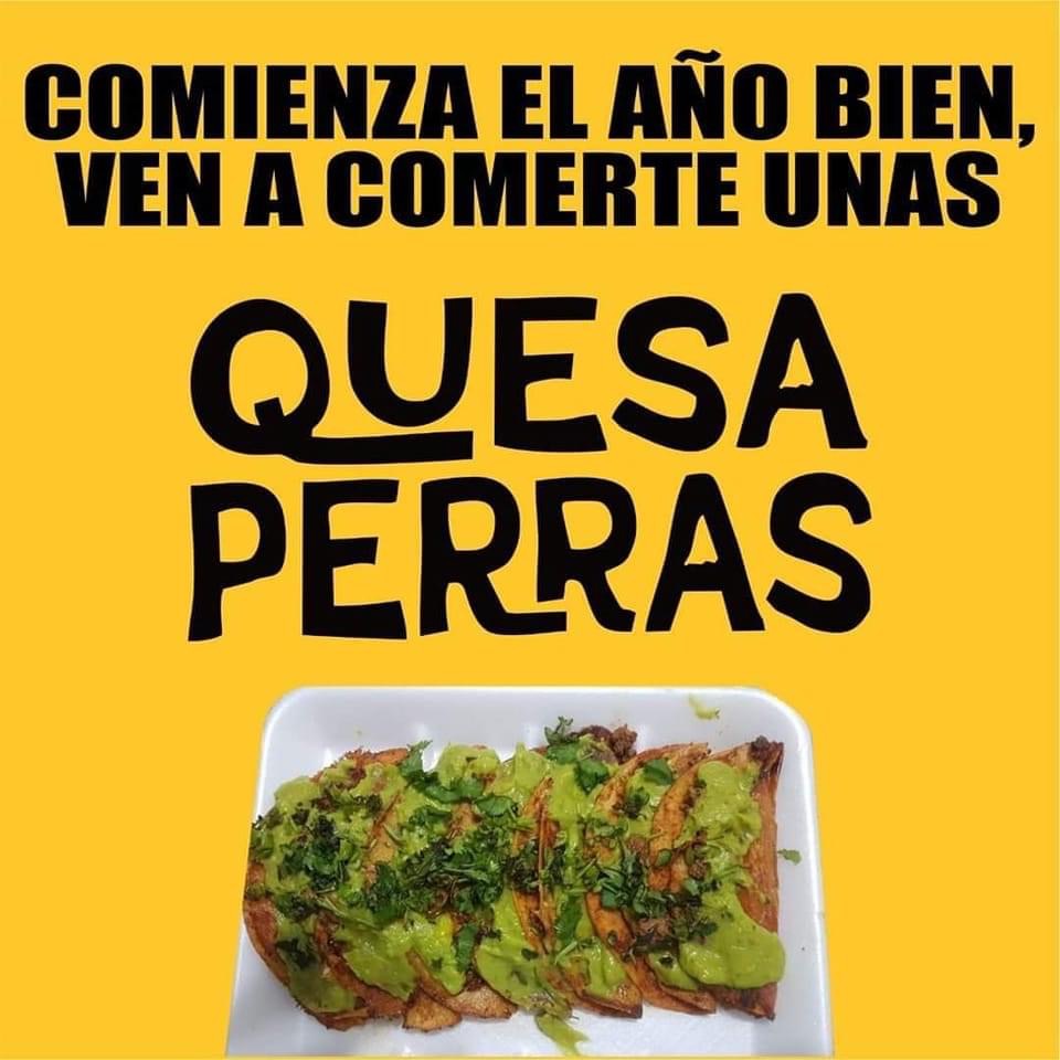 Quesa perras image 3