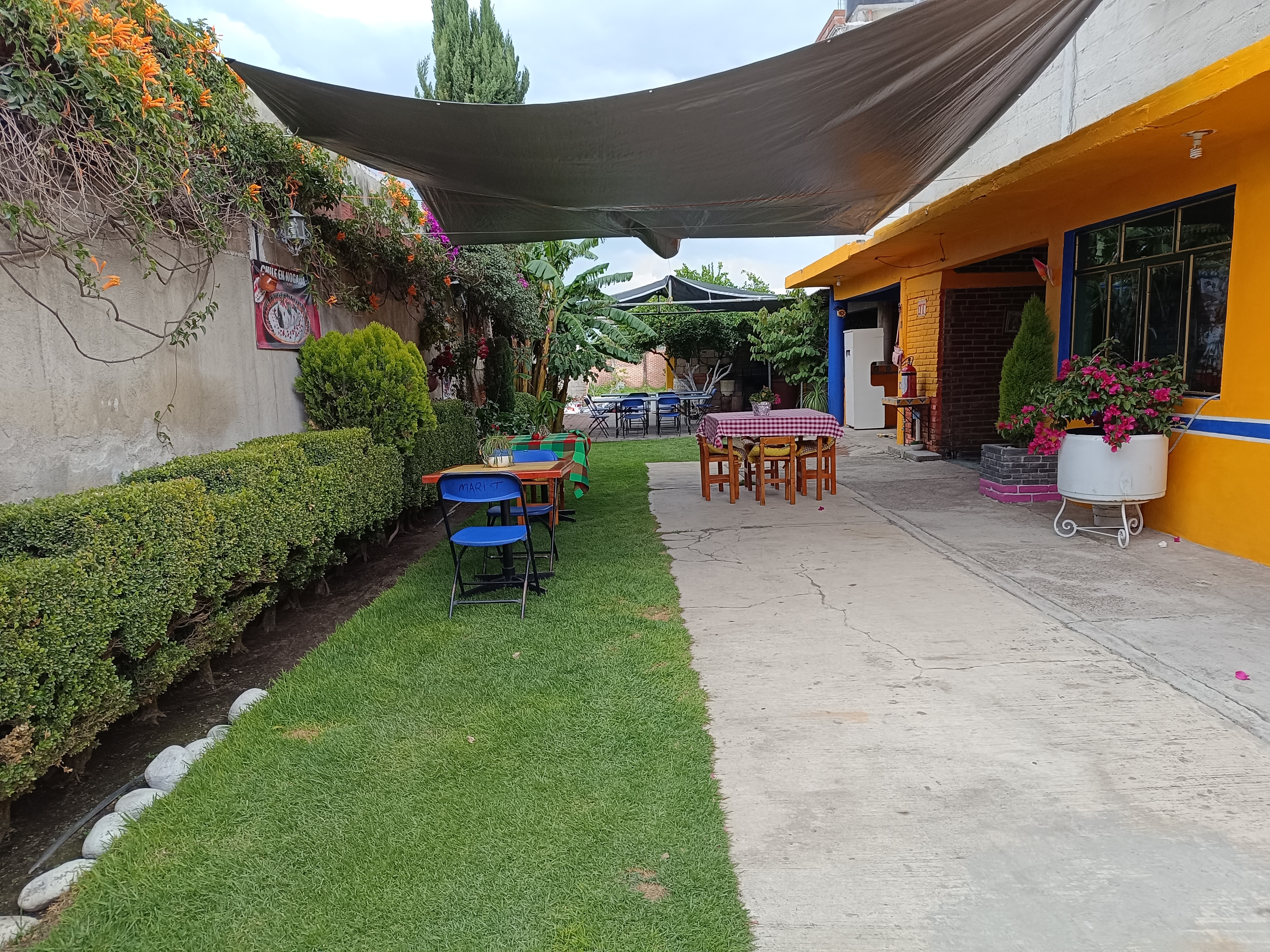 Chiles en nogada “La Dueña” image 3