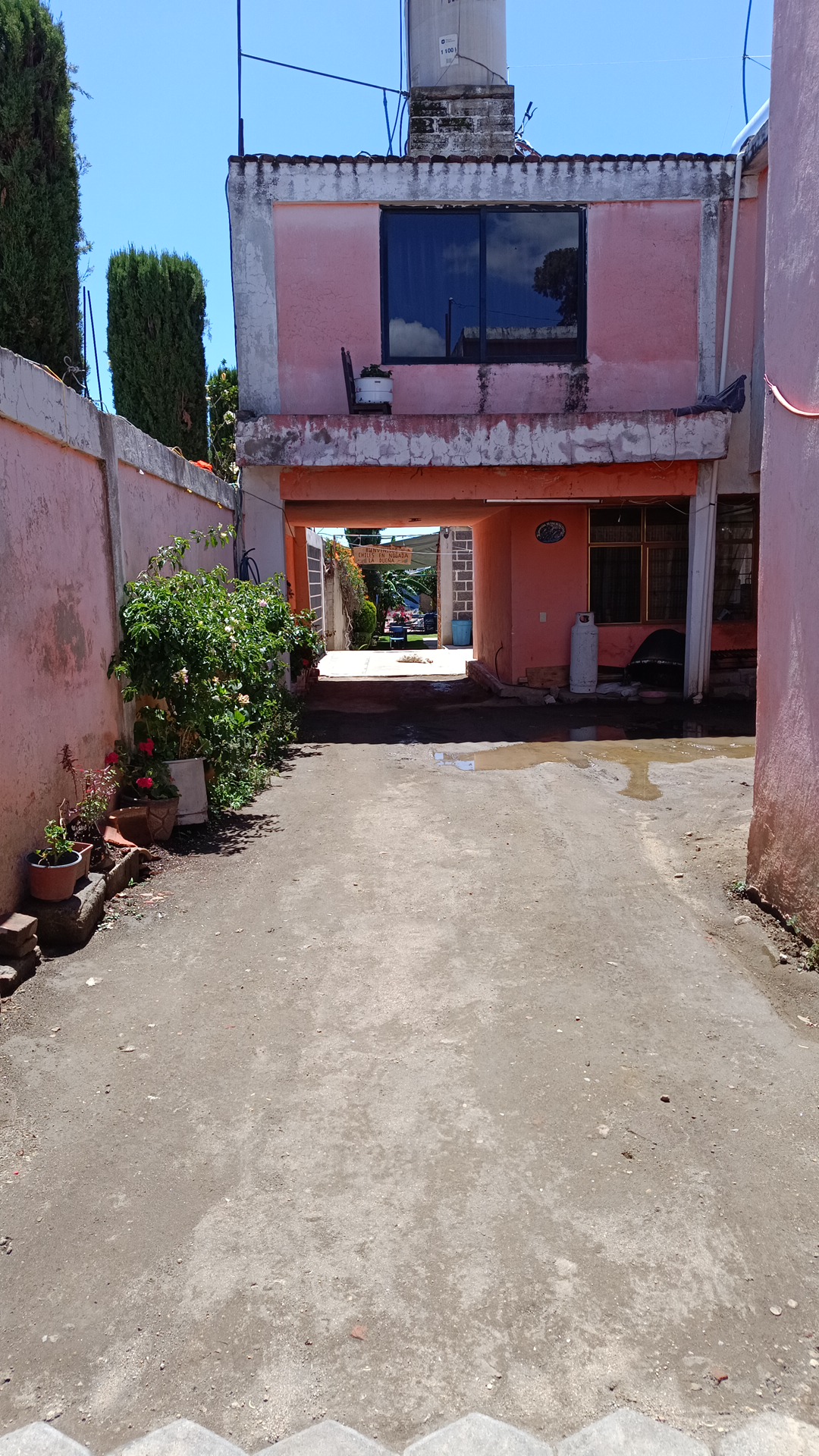 Chiles en nogada “La Dueña” image 5