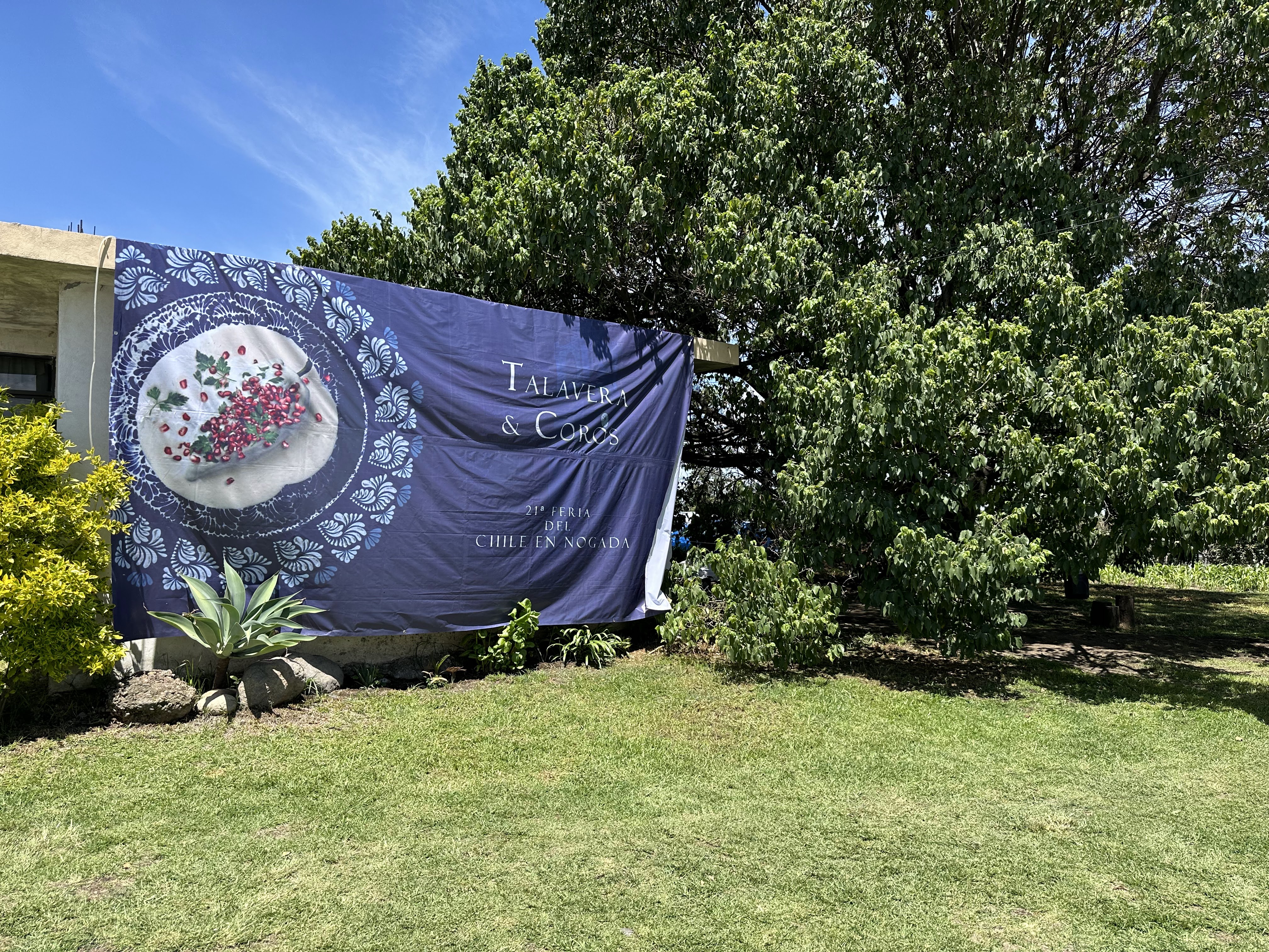 Talavera & Coros image 3