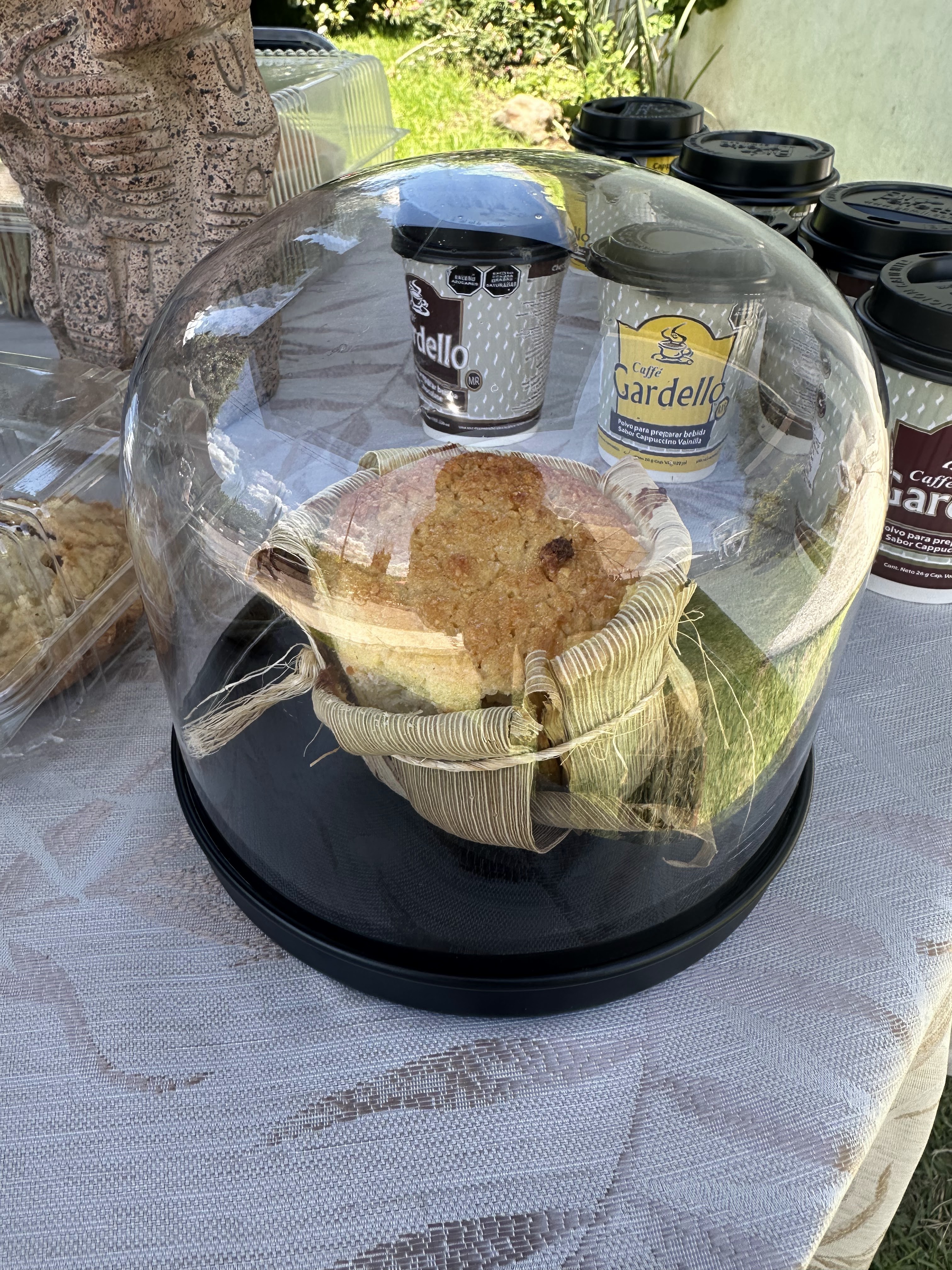 Talavera & Coros image 5