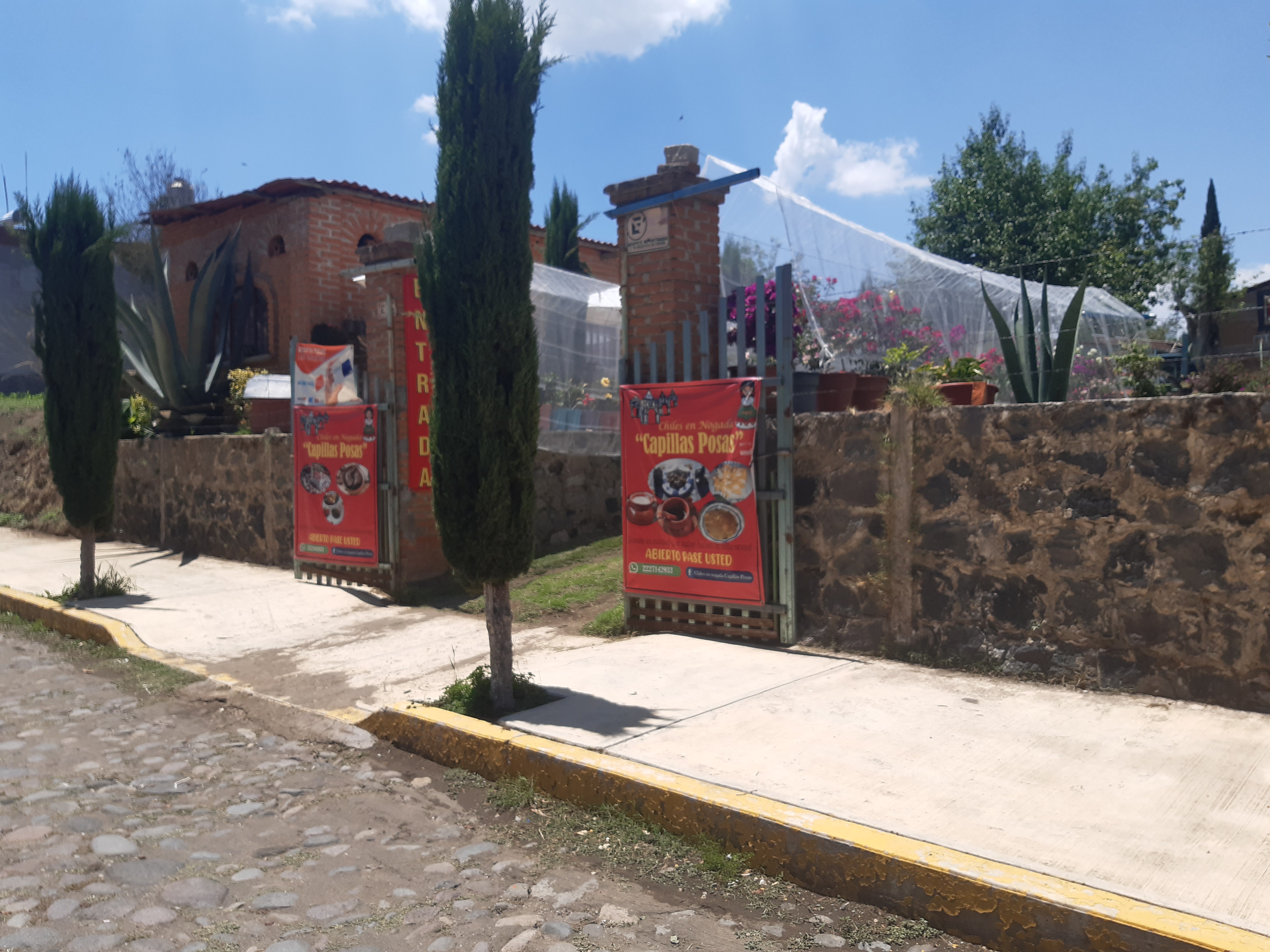 Chiles en Nogada Capillas Posas image 5