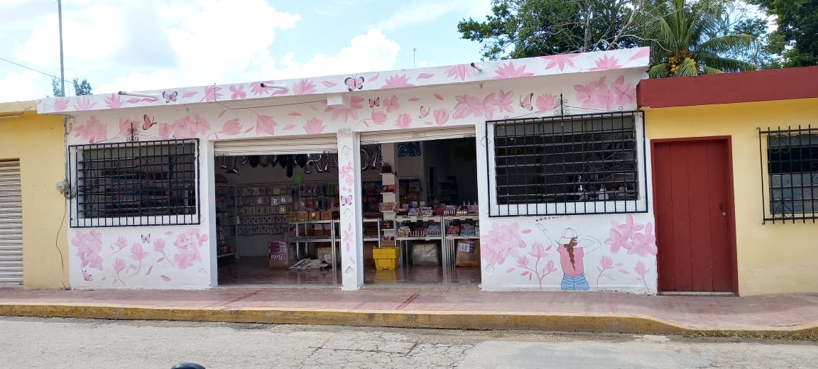 XIAO XIN XIN image 5