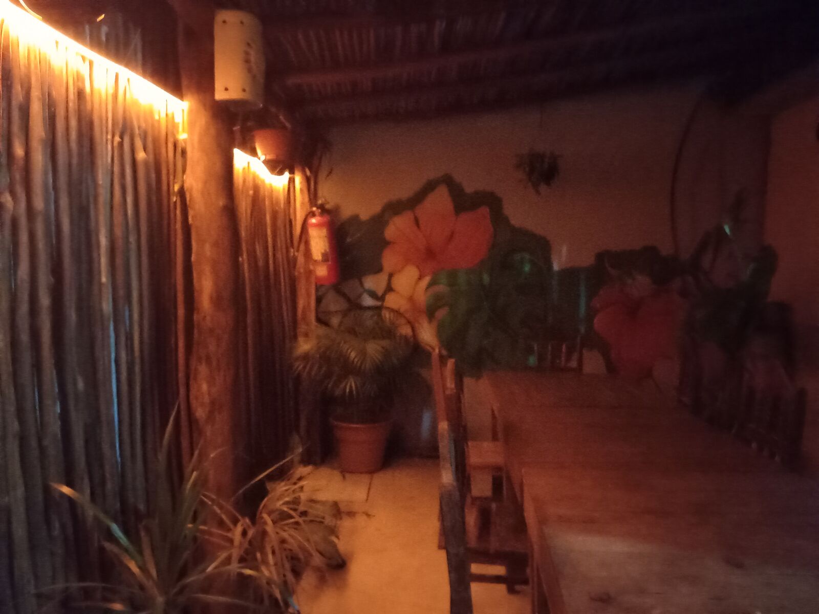 Casa de las Pastas image 7