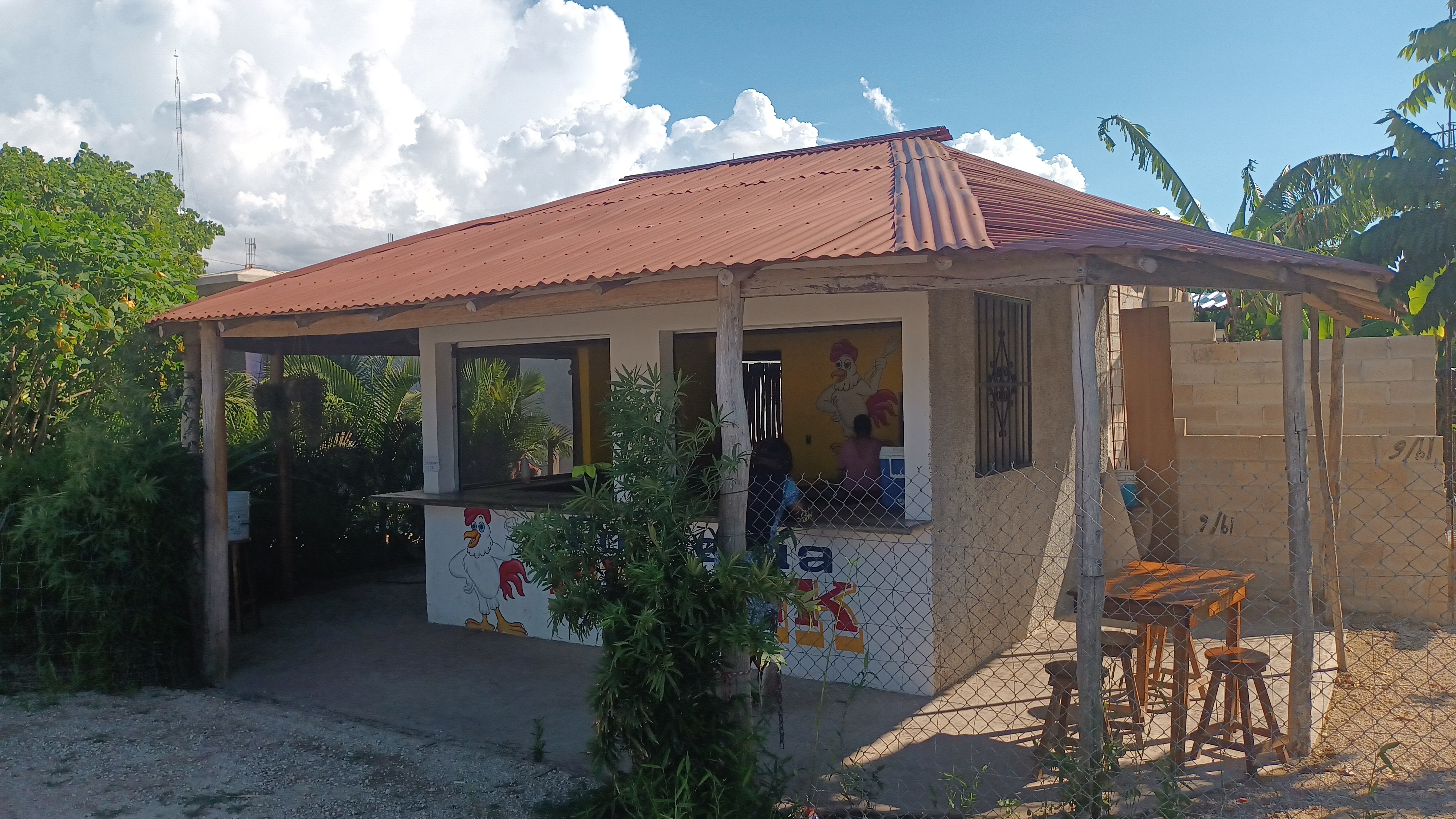 Pollos asados frank image 4