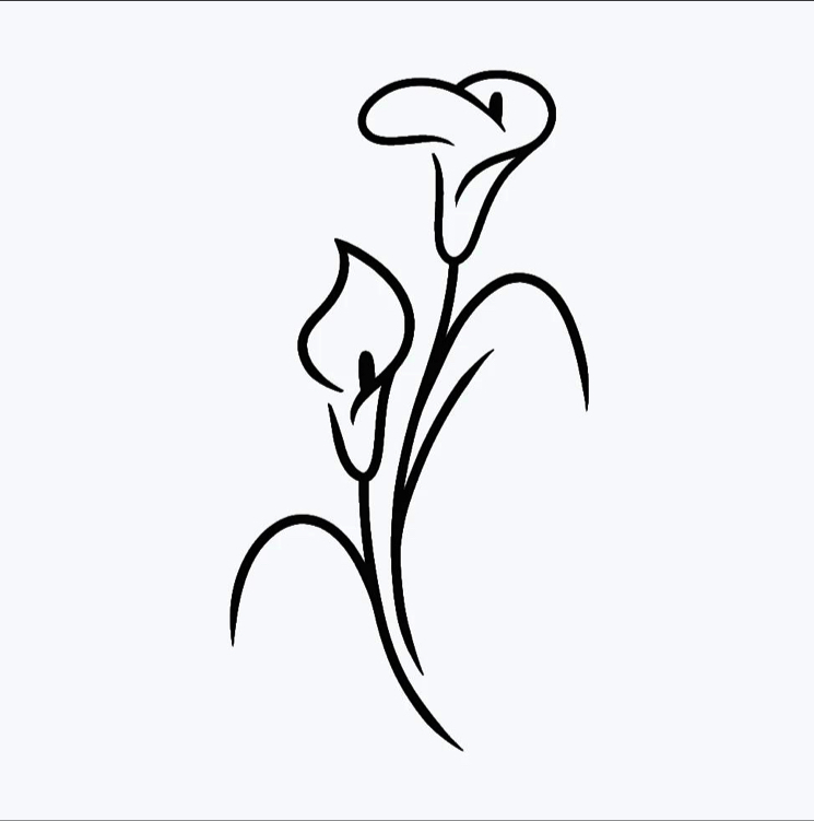 “Los Alcatraces” image 3