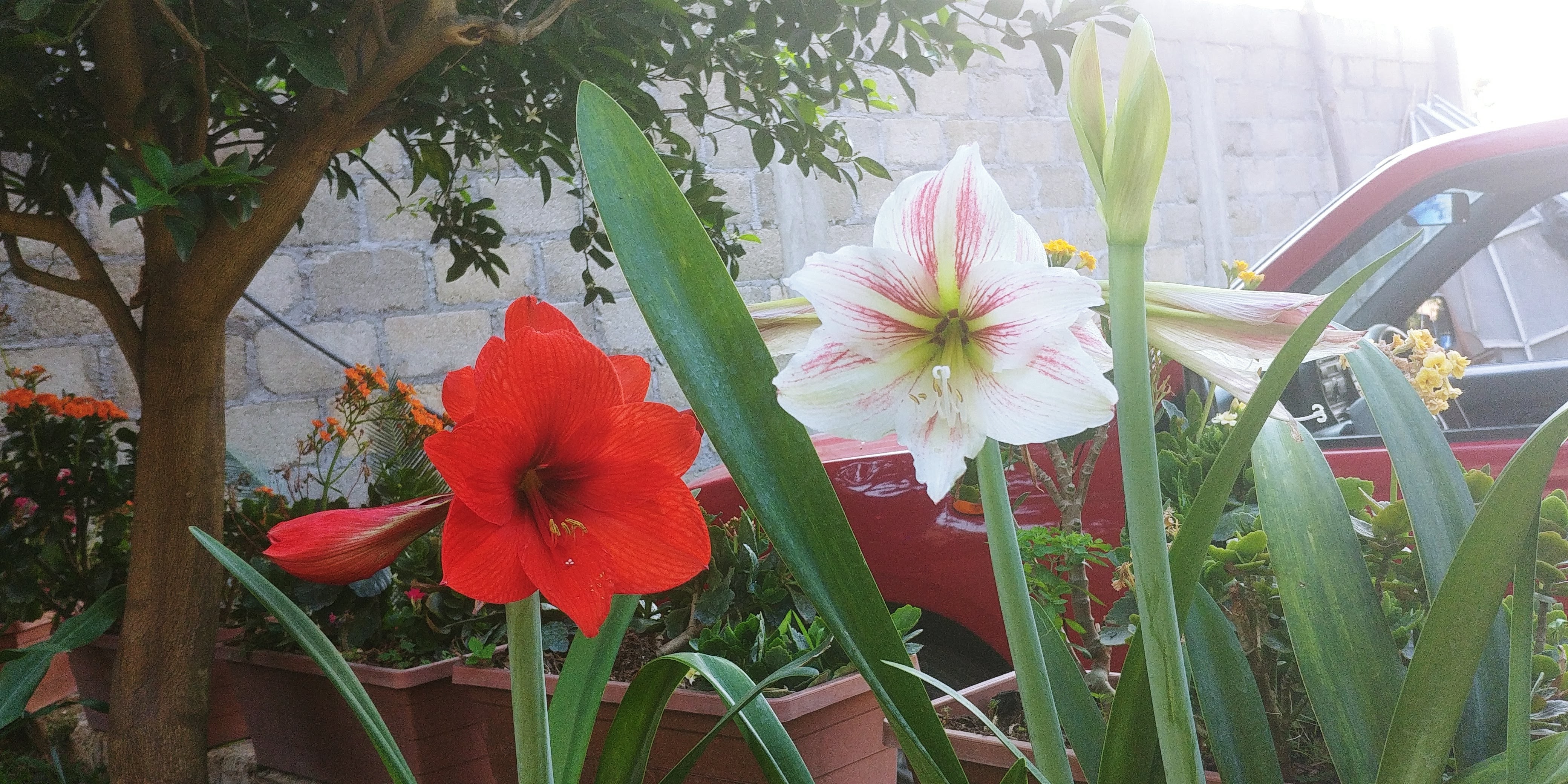 Pozoleria y Mariscos "La Estancia" image 3